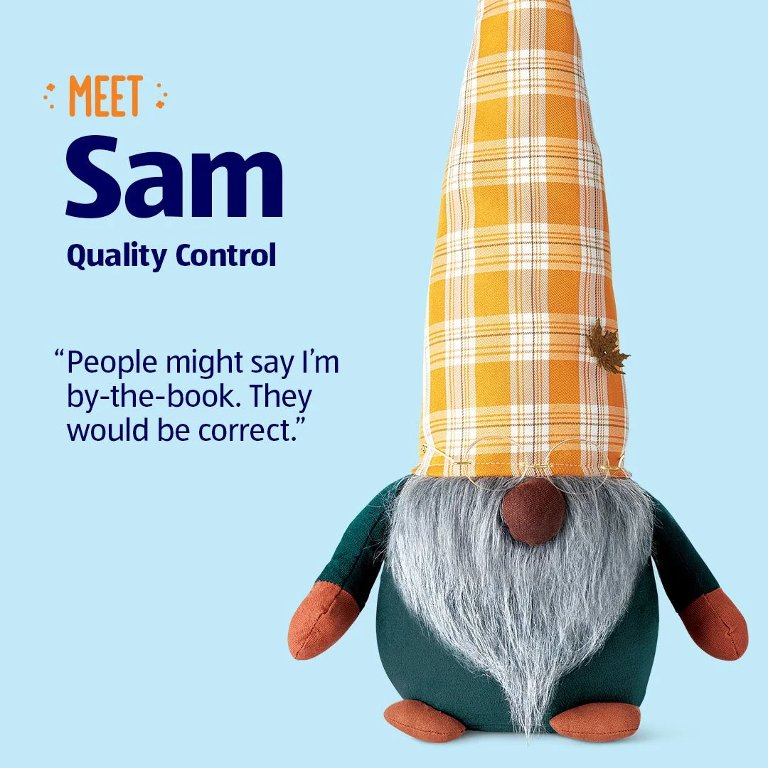 MeetTheGnomes_sam3__.jpg