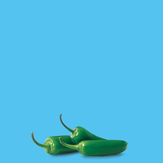 NetNew4_TexMex.gif