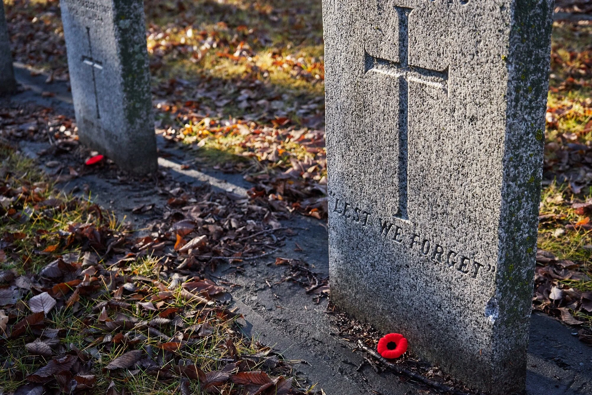 Beechmount A - LL 19.jpg