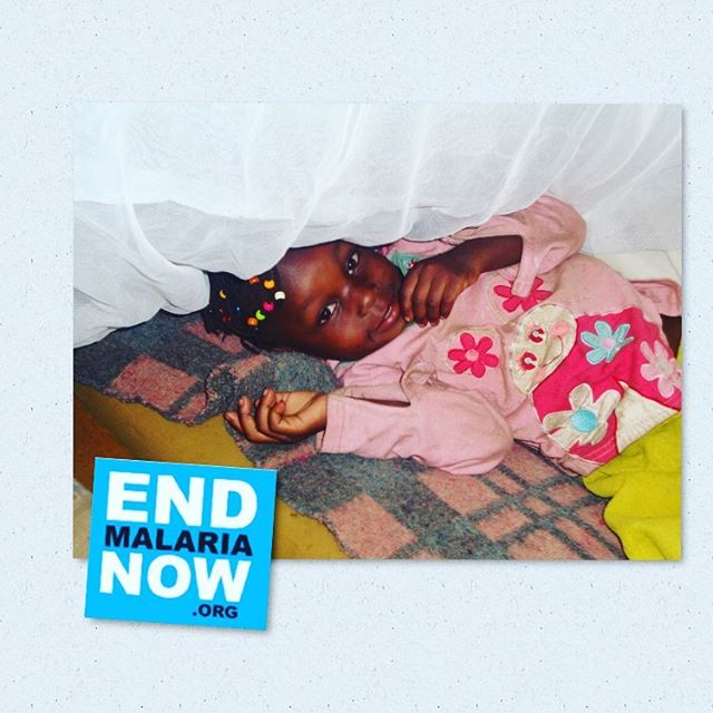 #worldmalariaday