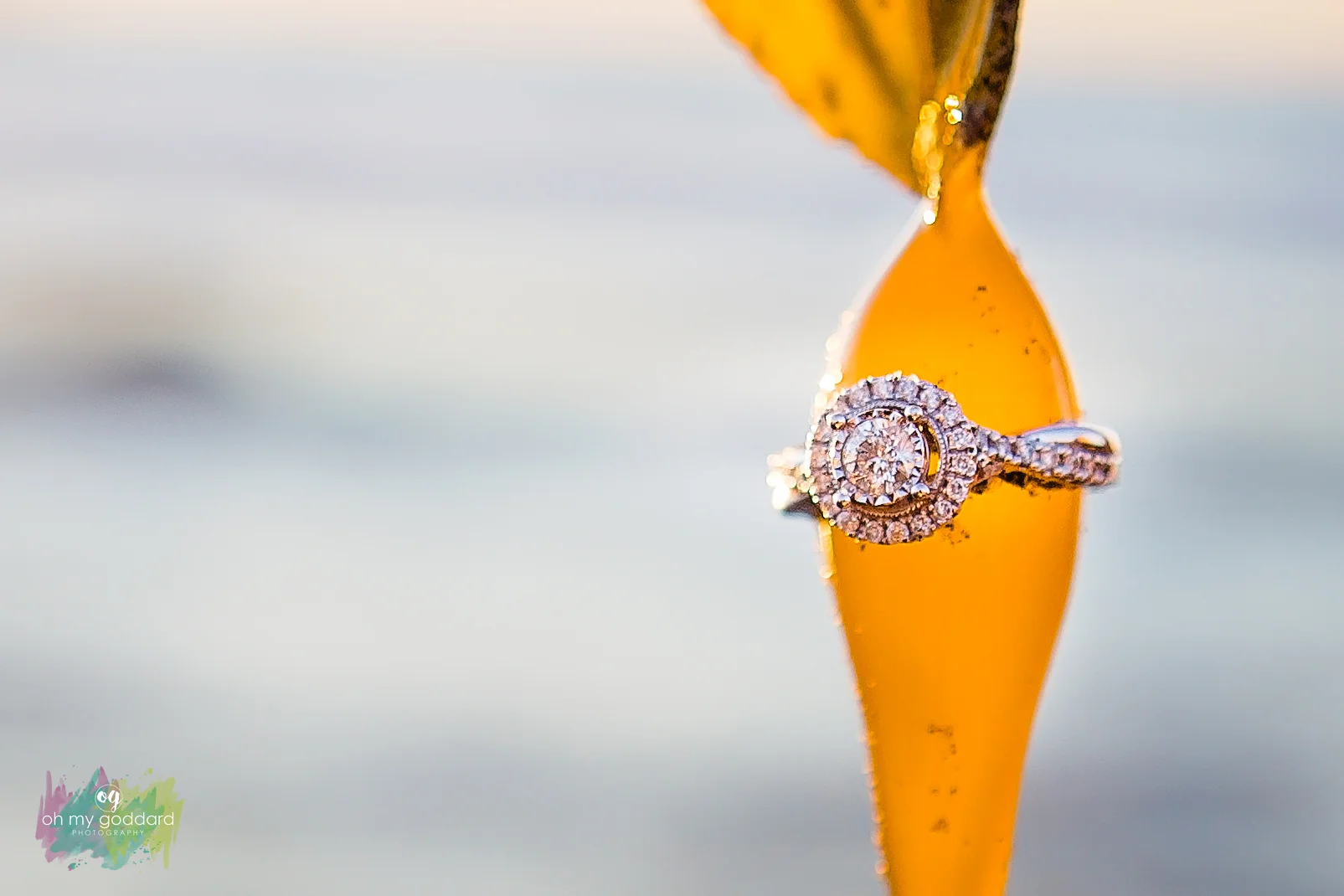 la jolla beach engagement ring.jpg