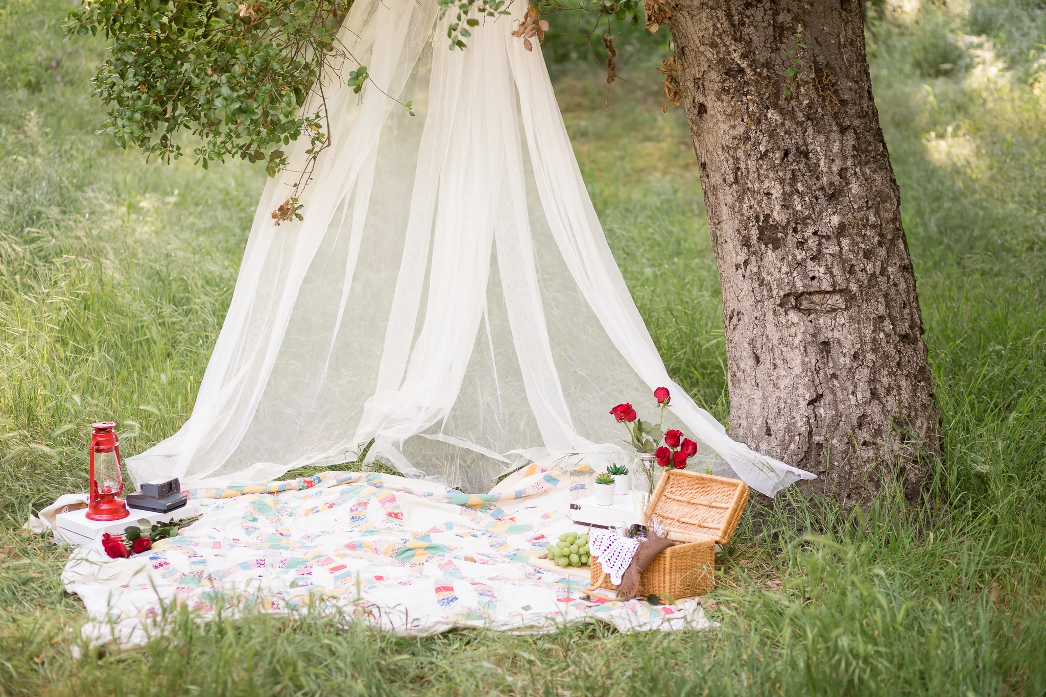 Picnic Engagement Session - Oh My Goddard Photography-8.jpg