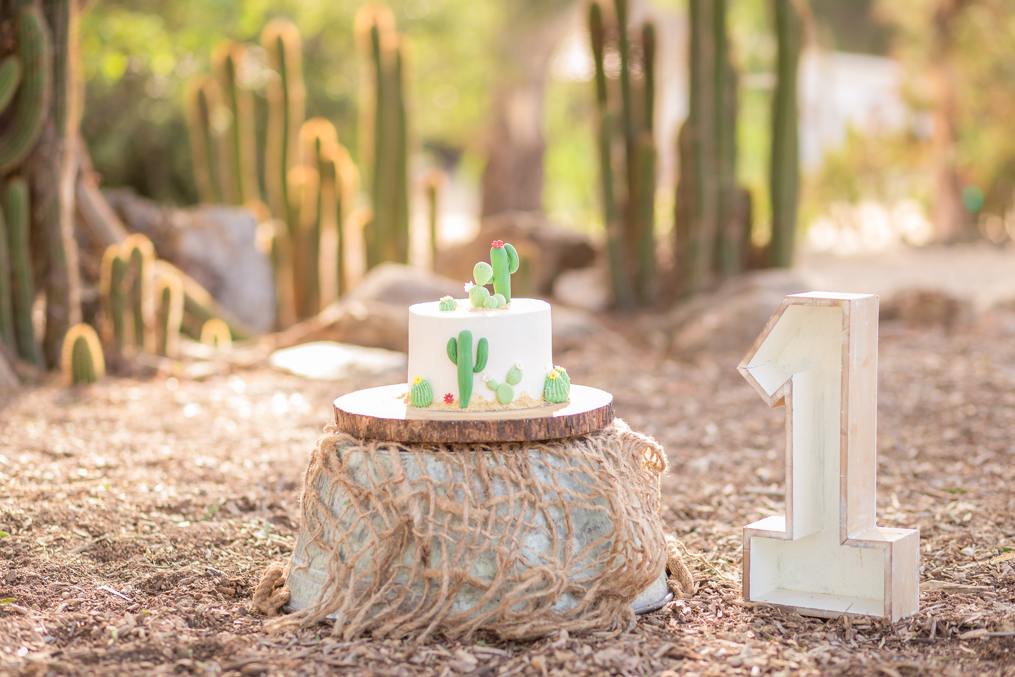 Cactus Cowboy Southwestern Cake Smash- Oh My Goddard Photography - San Diego Oceanside Cake Smash Photographer-10.jpg