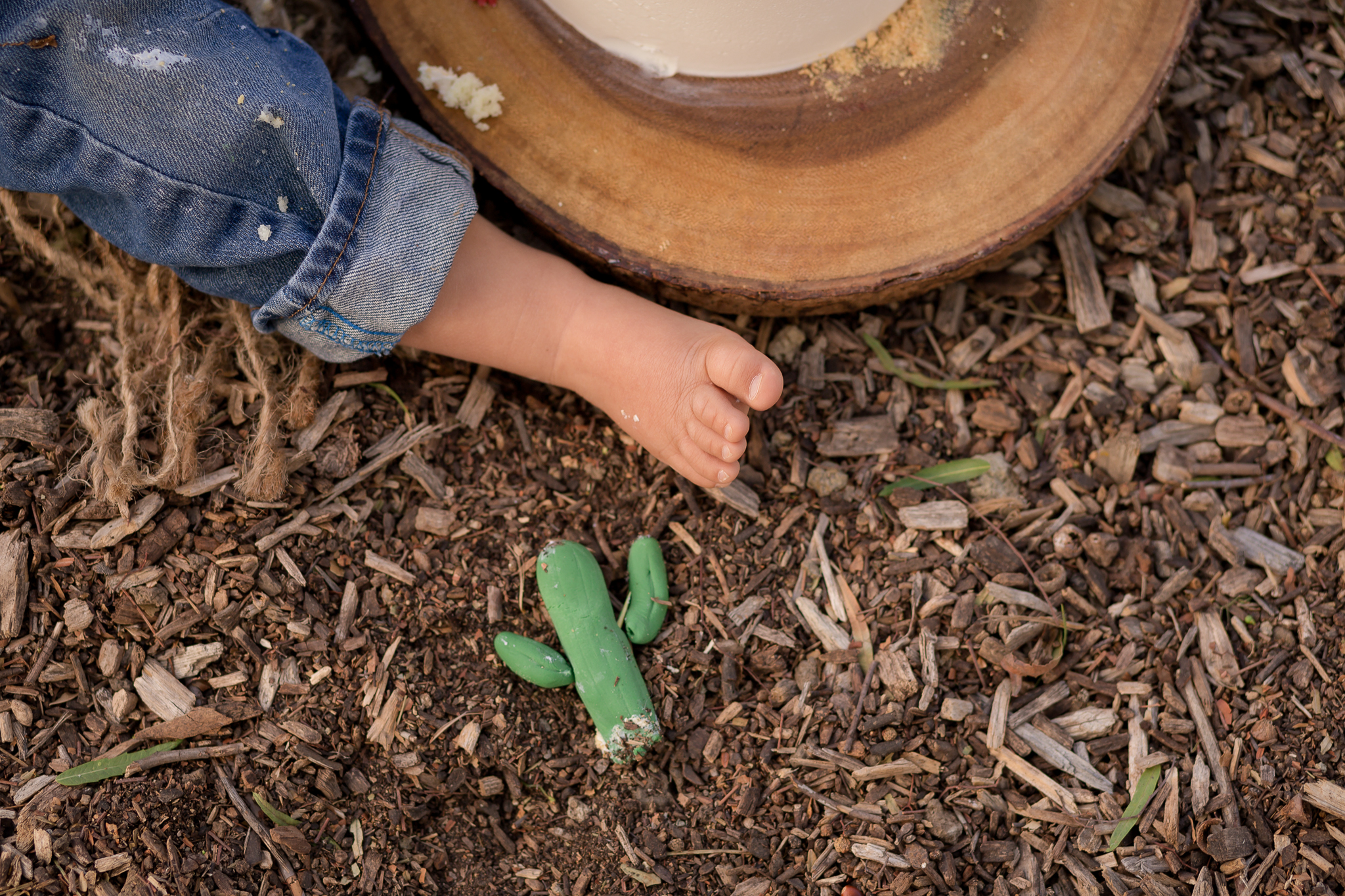 Cactus Cowboy Southwestern Cake Smash- Oh My Goddard Photography - San Diego Oceanside Cake Smash Photographer-15.jpg