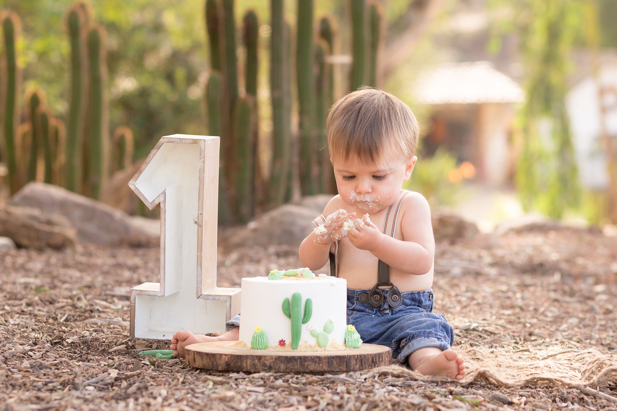 Cactus Cowboy Southwestern Cake Smash- Oh My Goddard Photography - San Diego Oceanside Cake Smash Photographer-16.jpg