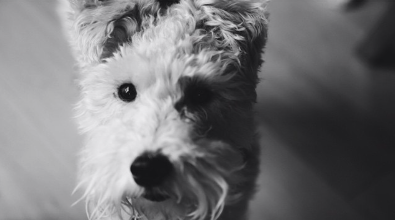 Screen Shot 2015-06-26 at 7.21.29 PM.png