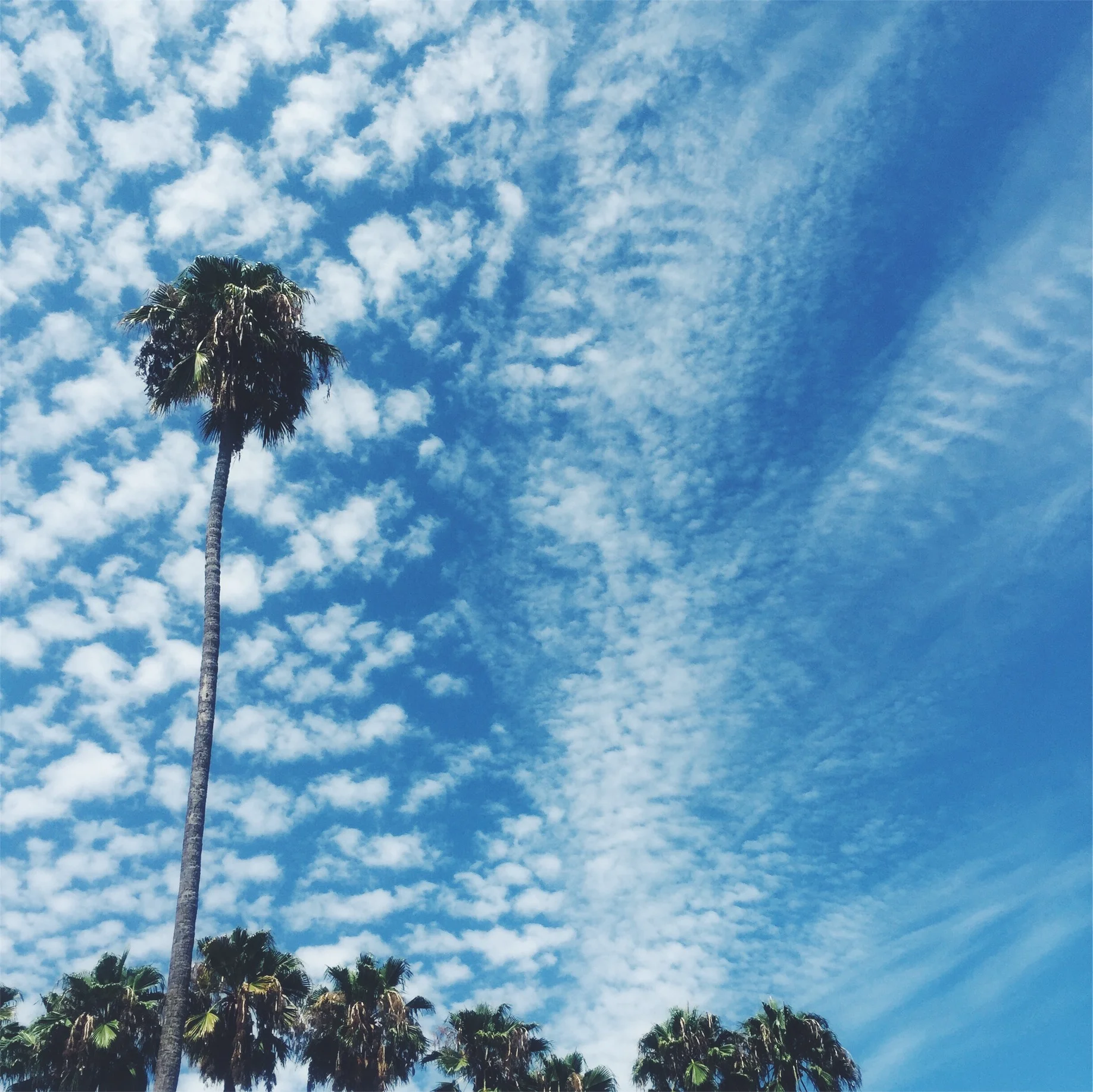 JPEG image-853CBD8F0E36-3.jpeg