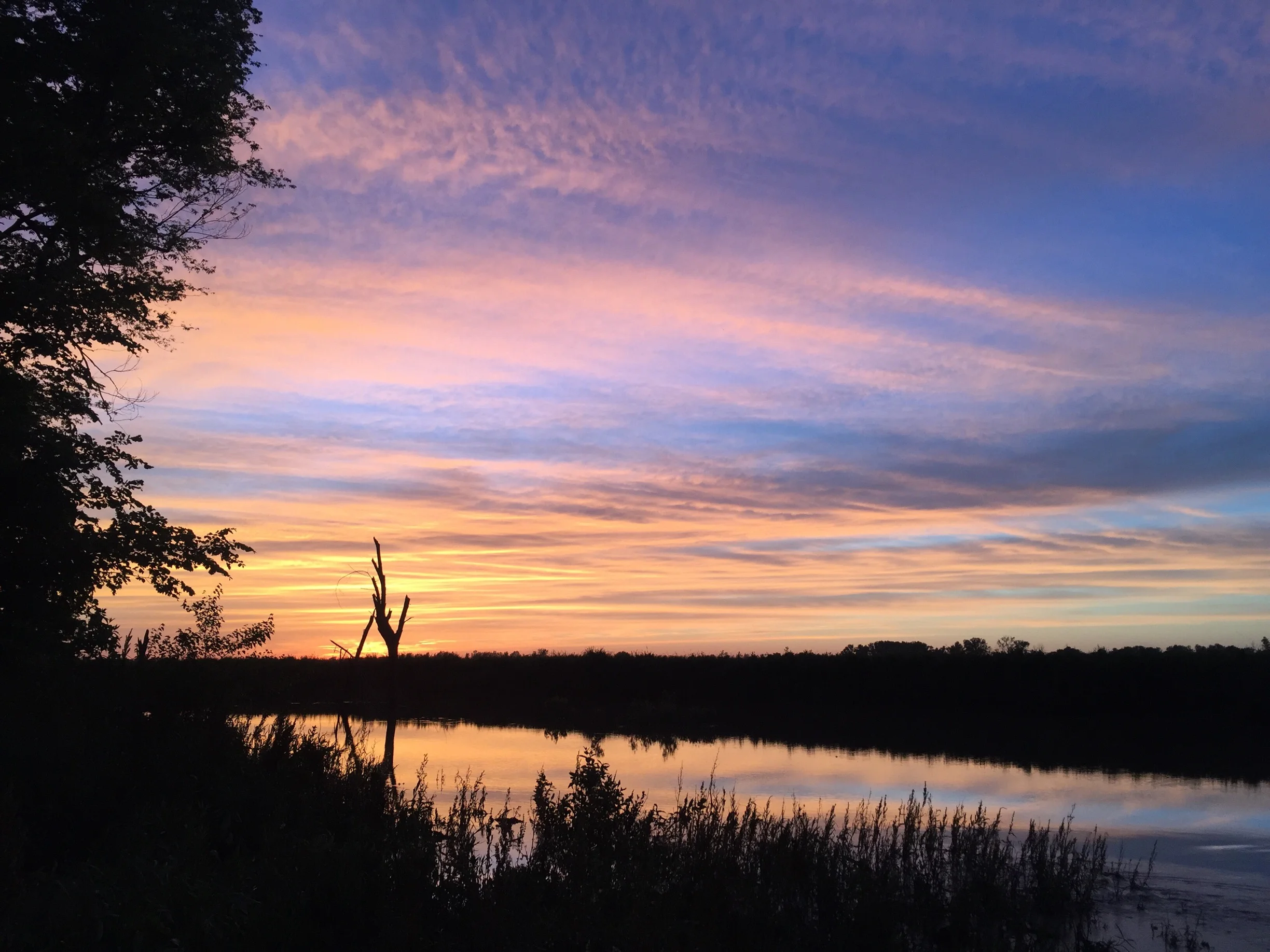 JPEG image-853CBD8F0E36-1.jpeg