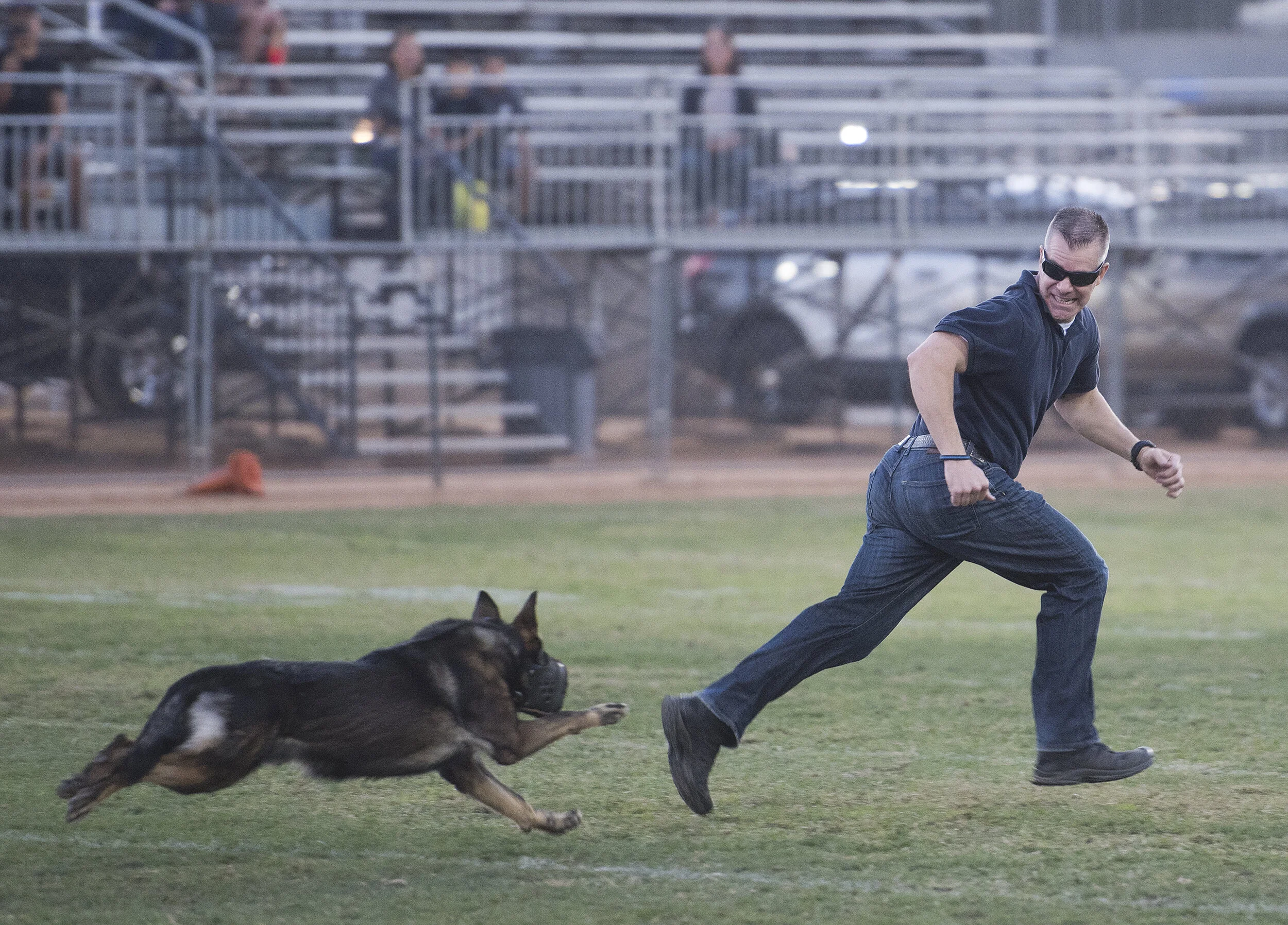1015_NWS_OCR-L-K9SHOW.01.JPG