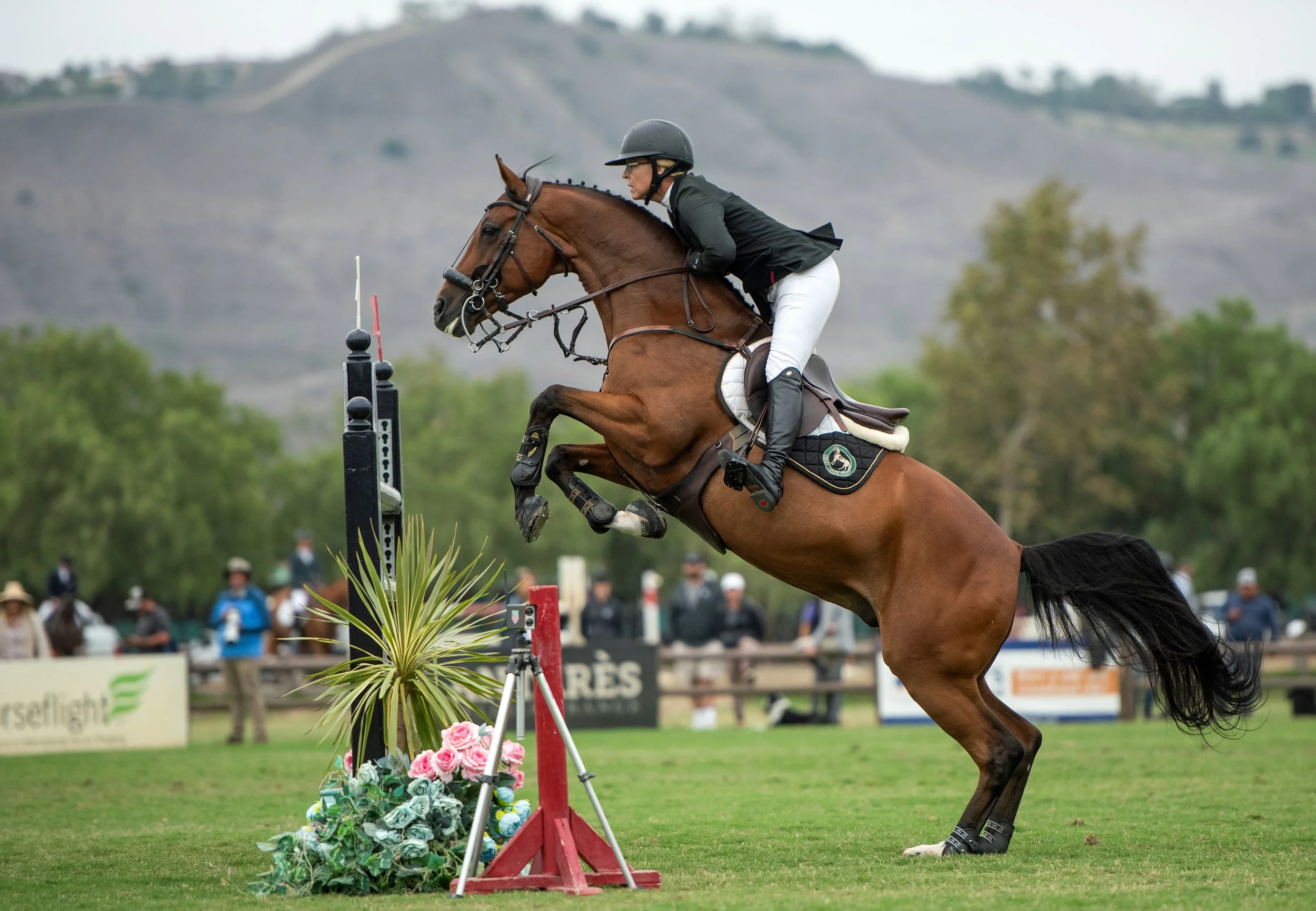 OCR-L-EQUESTSILVER-0822.JA.02.JPG