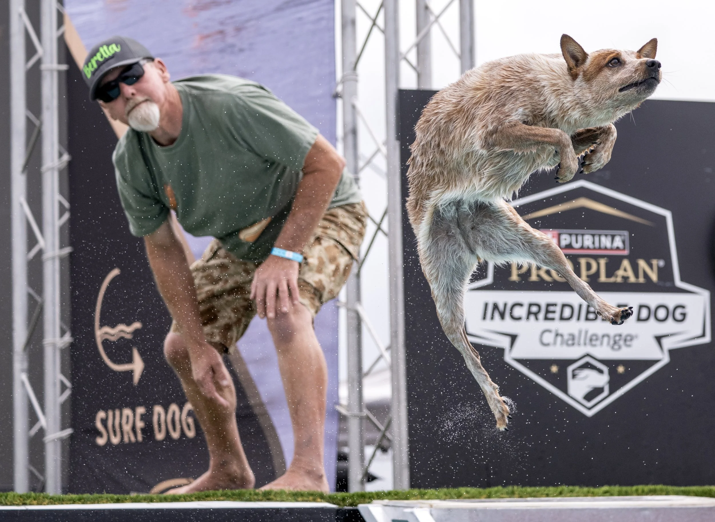 OCR-L-DOG-CHALLENGE-0620-JA-01.JPG