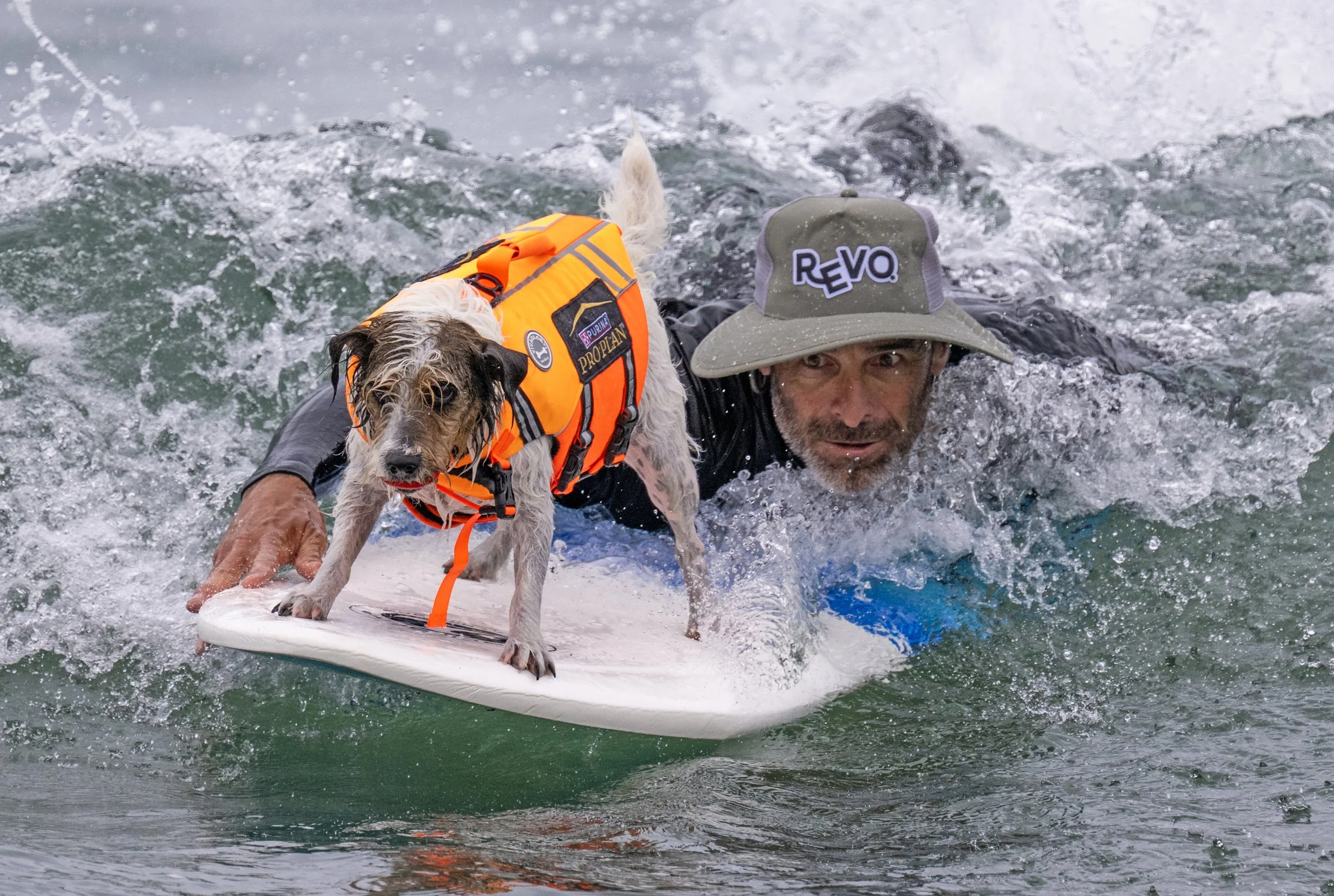 OCR-L-DOG-CHALLENGE-0620-JA-02.JPG