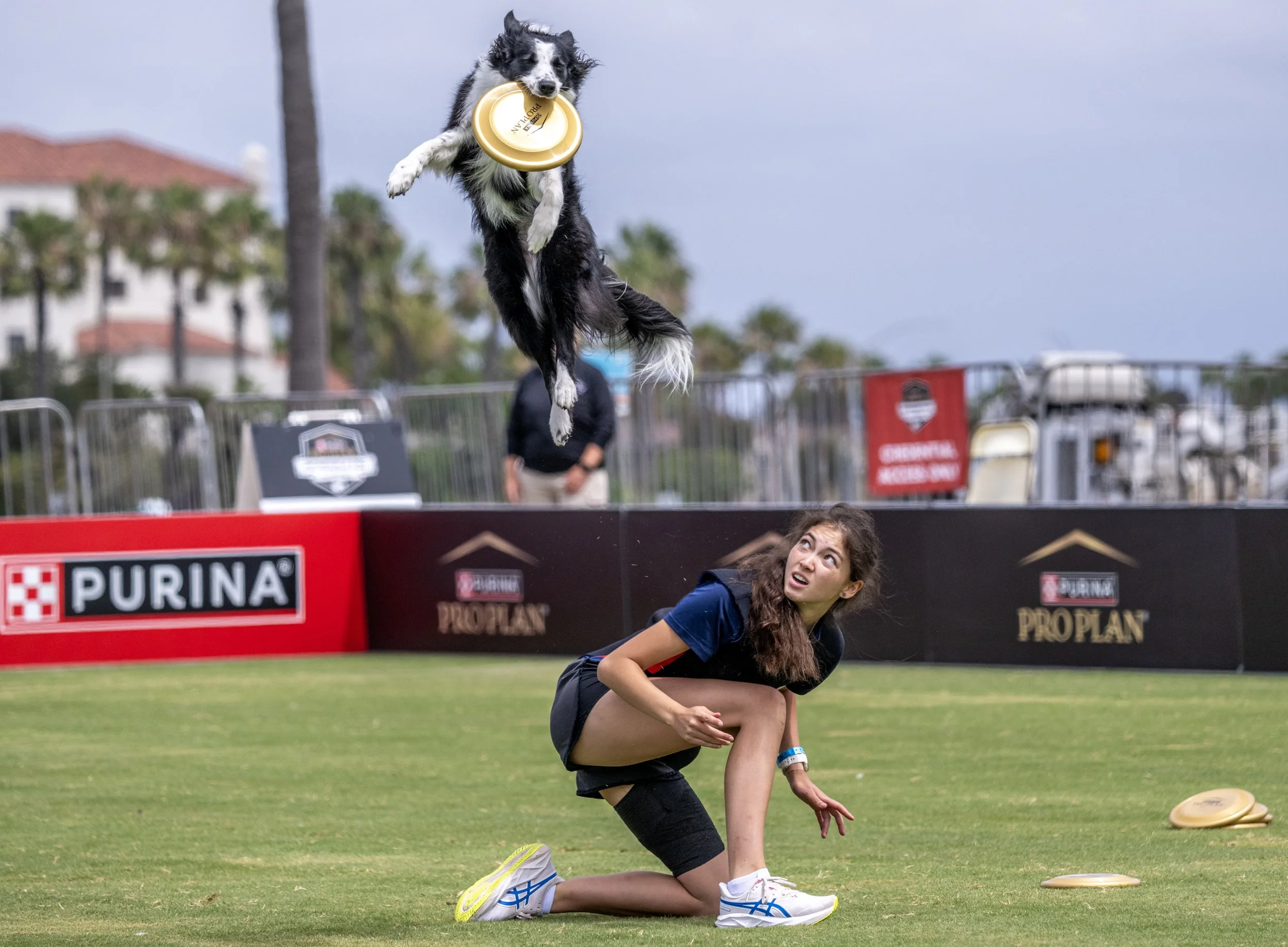OCR-L-DOG-CHALLENGE-0620-JA-03.JPG