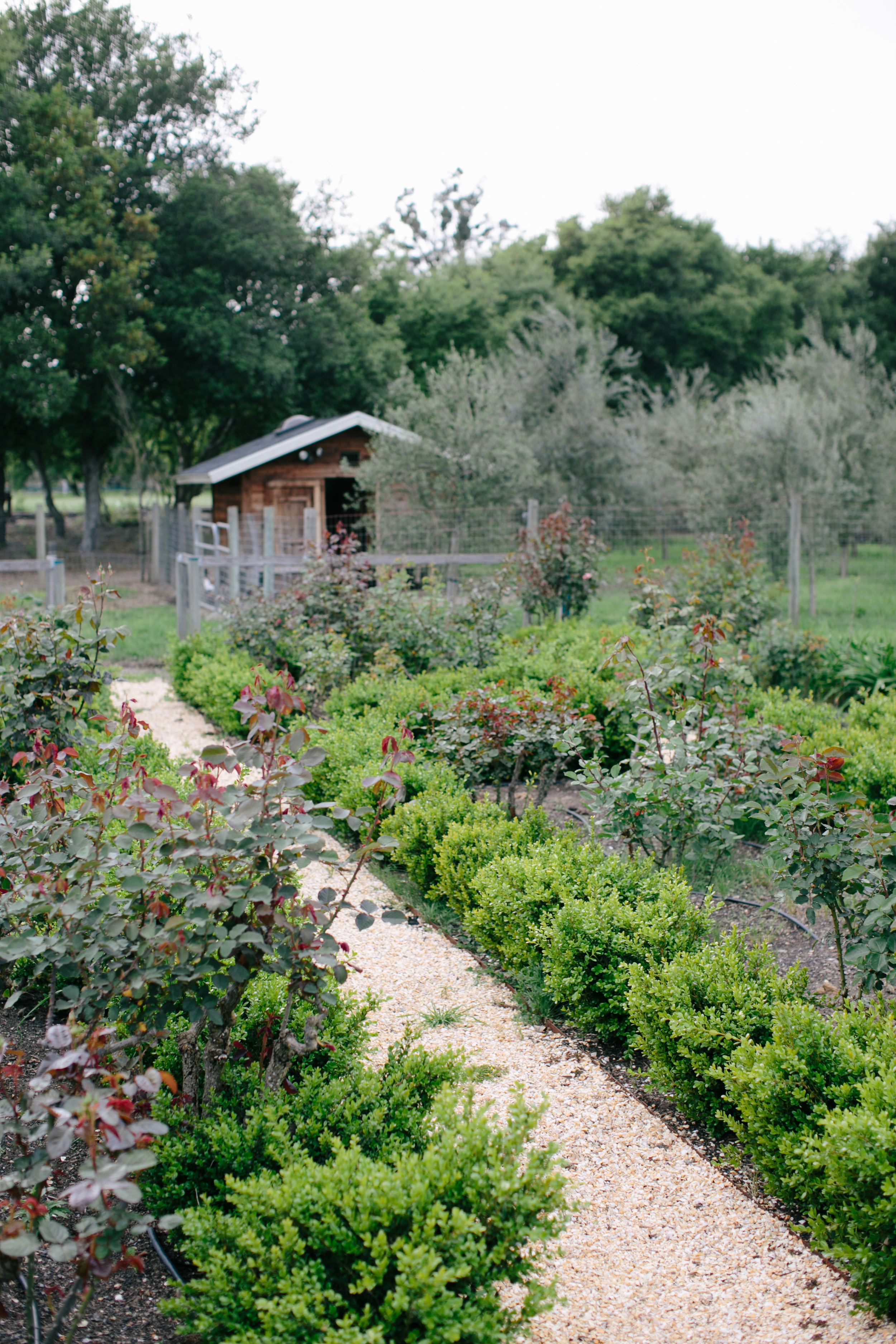 The Rose Gardens of Gore Farms