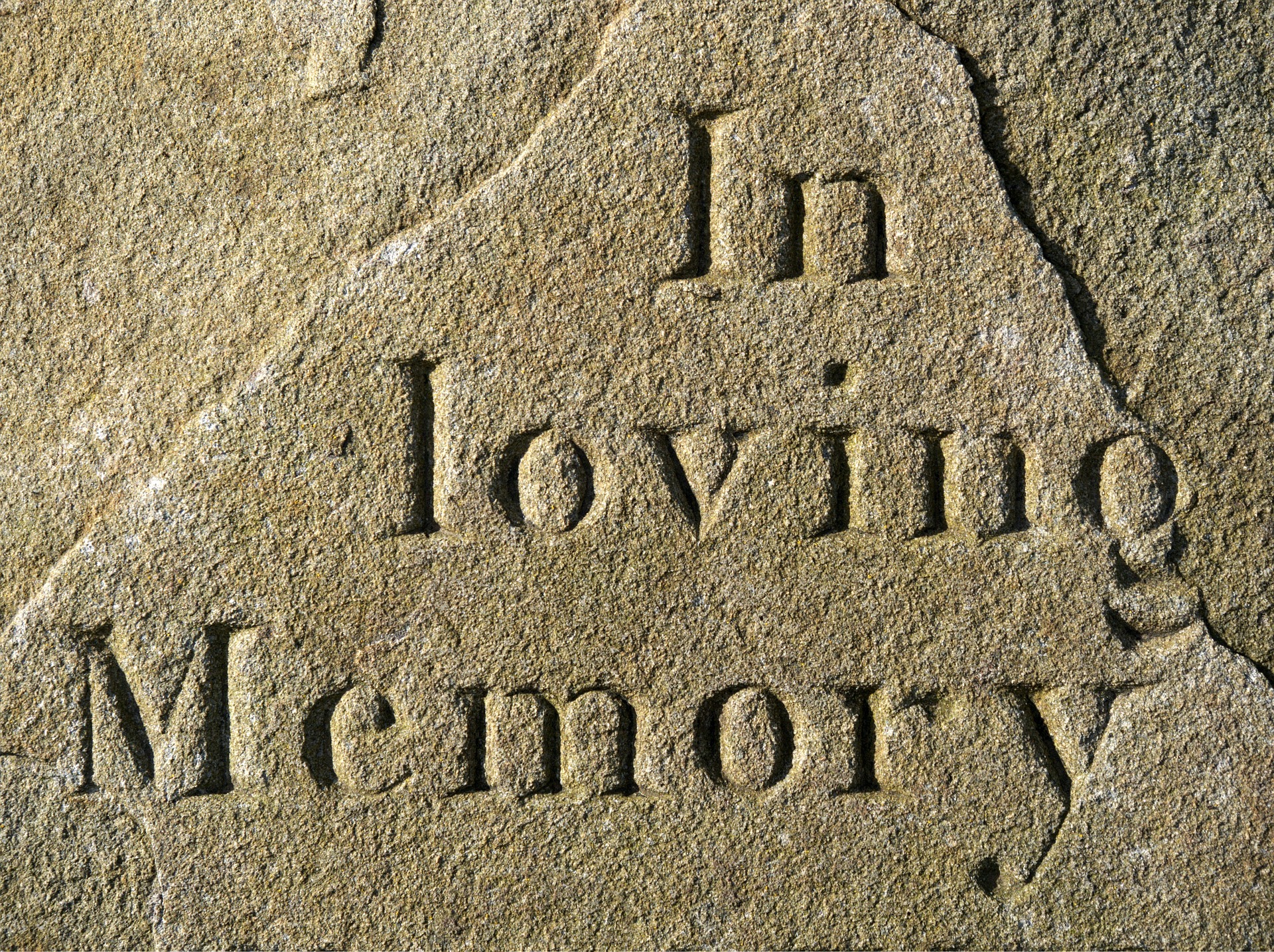loving-1207568_1920.jpg