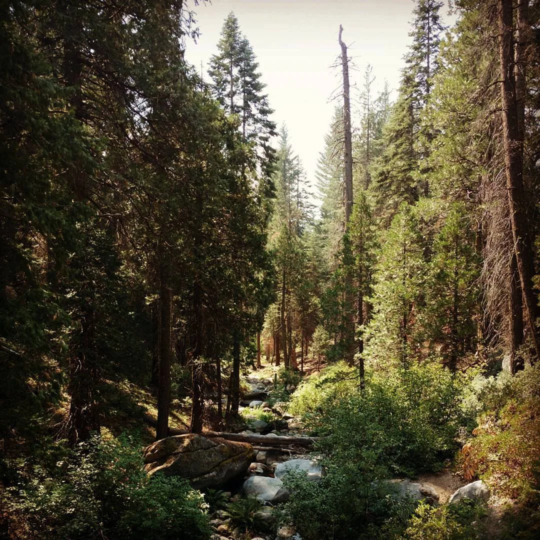 Taking the scenic route from Camp Gold to Camp Blue