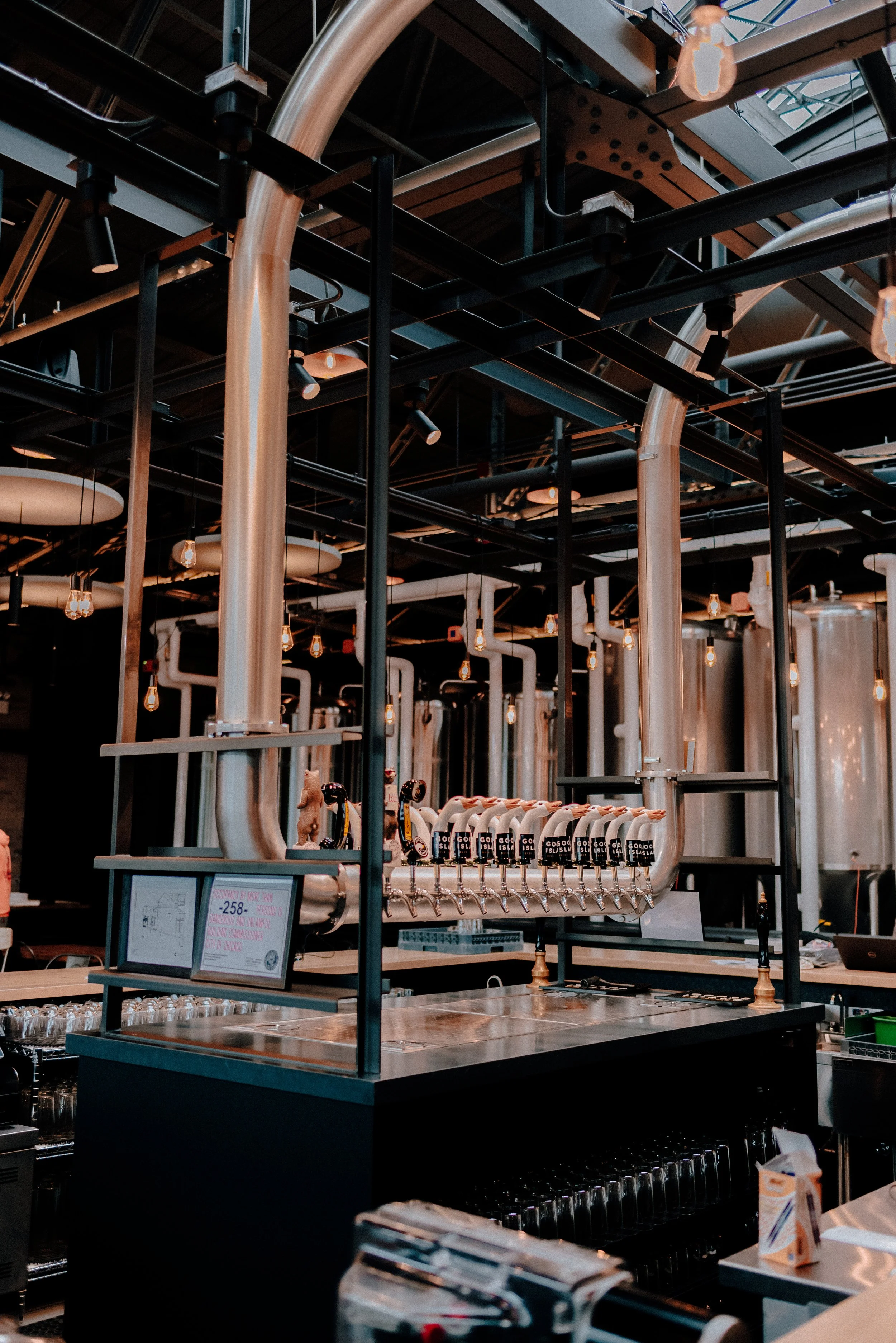 GooseIsland-Chicago-042424-141.jpg