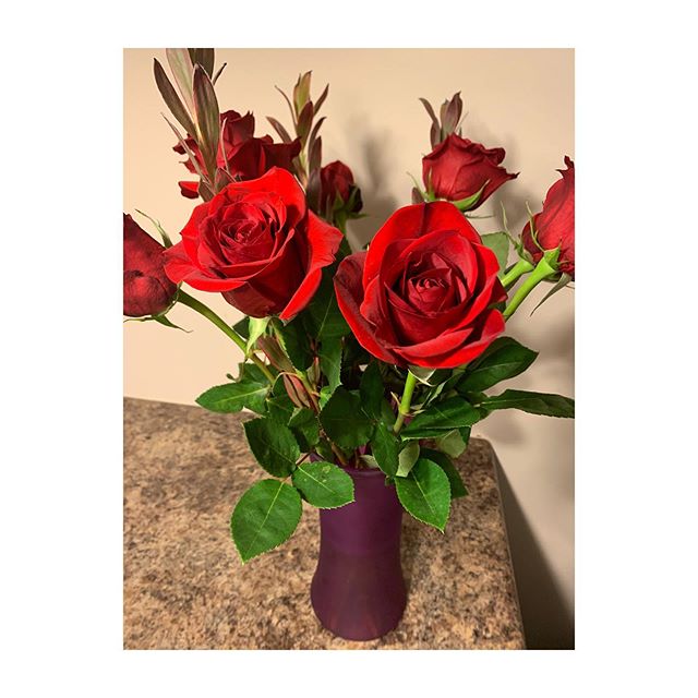 I had to share these beautiful flowers. I&rsquo;m amazed at how red they are.