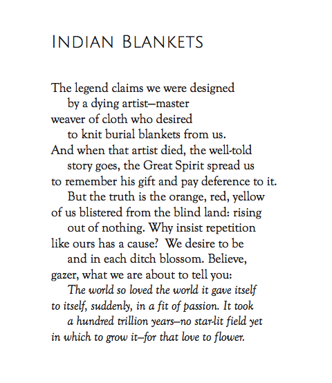 OTOOTLOCM_IndianBlankets.png
