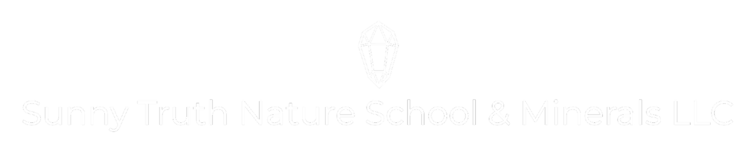 Sunny Truth Nature School & Minerals LLC