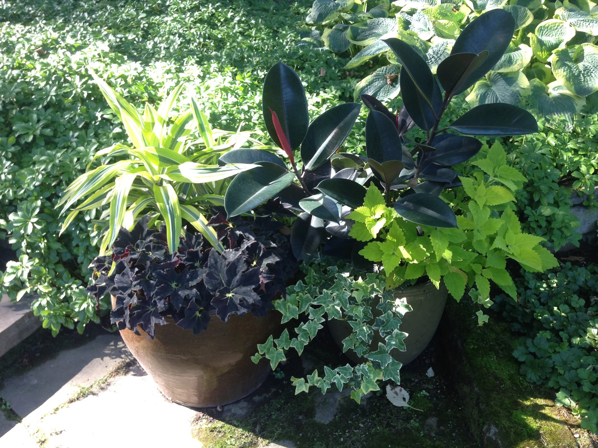 pots.jpeg