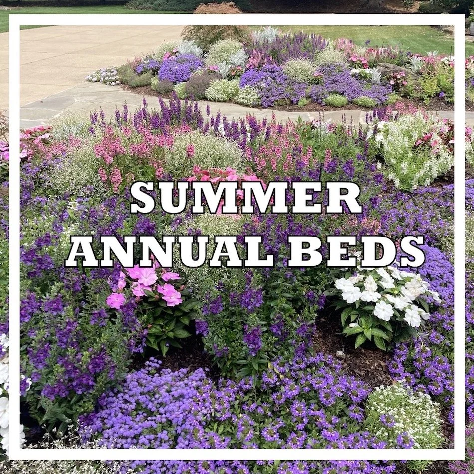 Annual beds.jpg