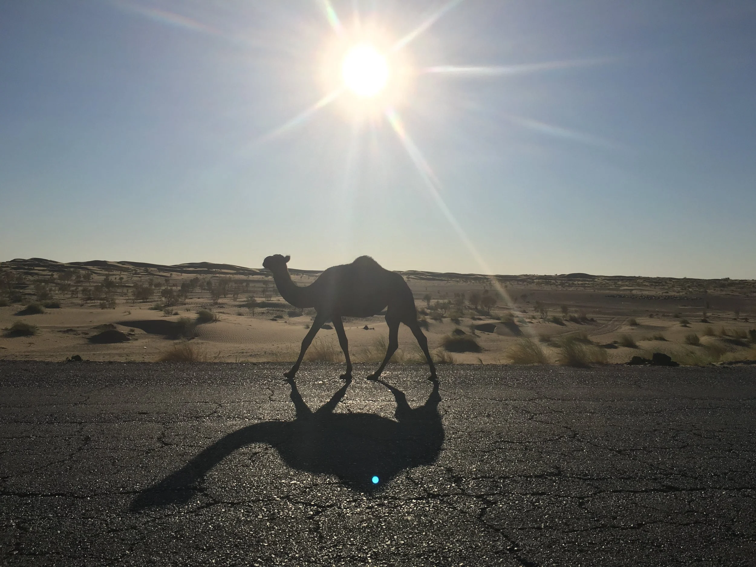 2016-08-14 00.06.13.jpg