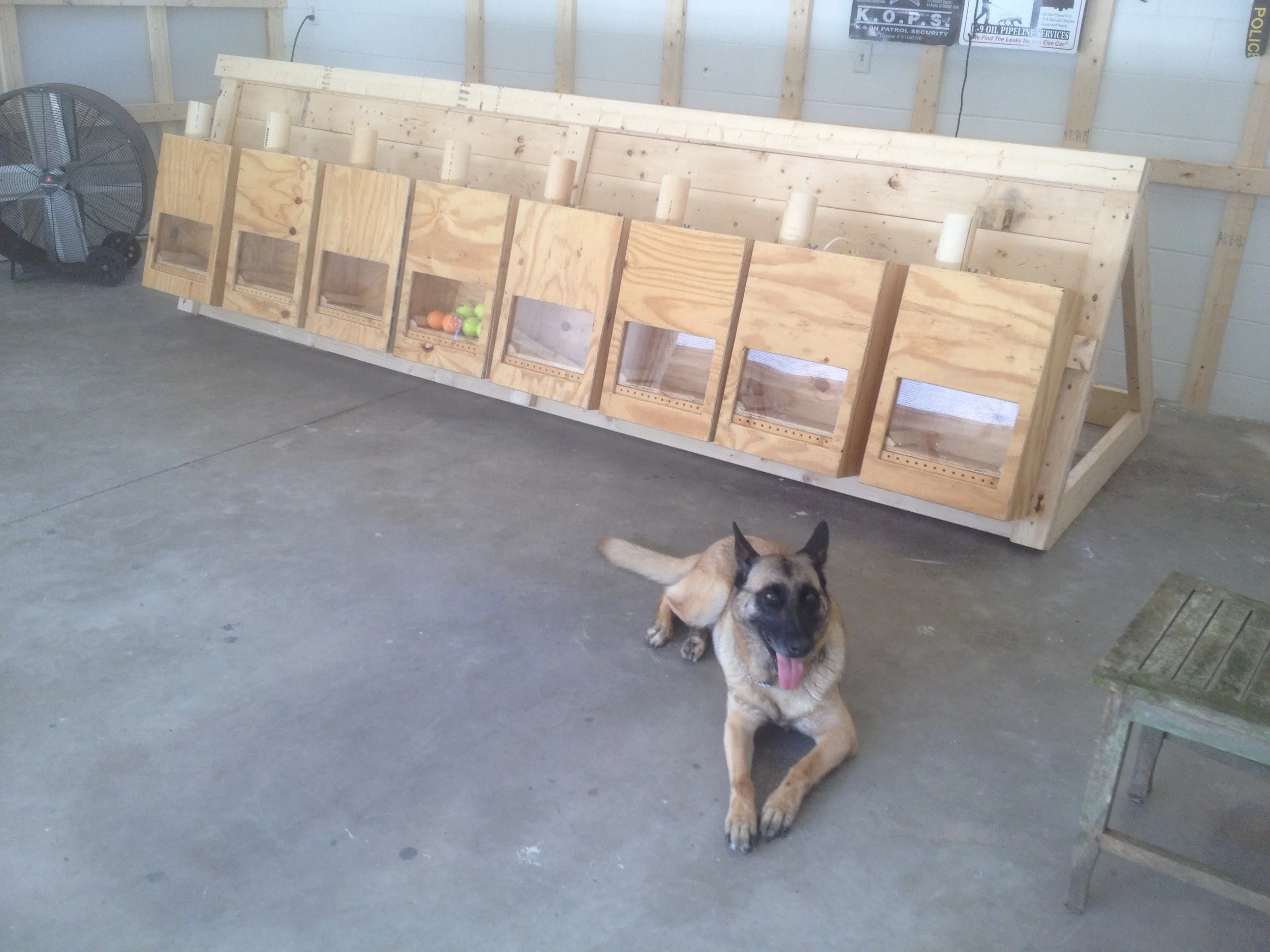 k9 dog training academy