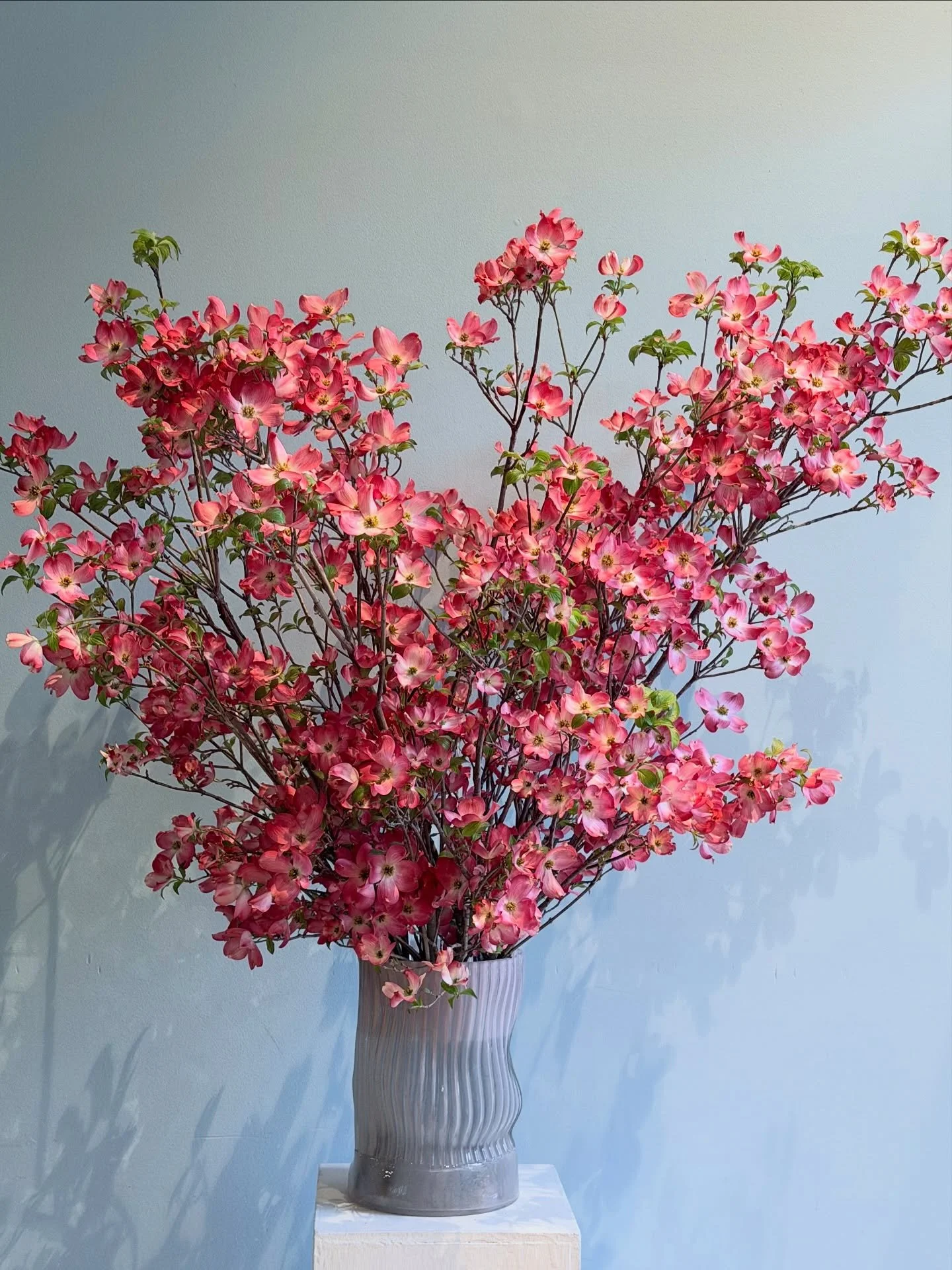 🫶🏽🫶🏽🫶🏽