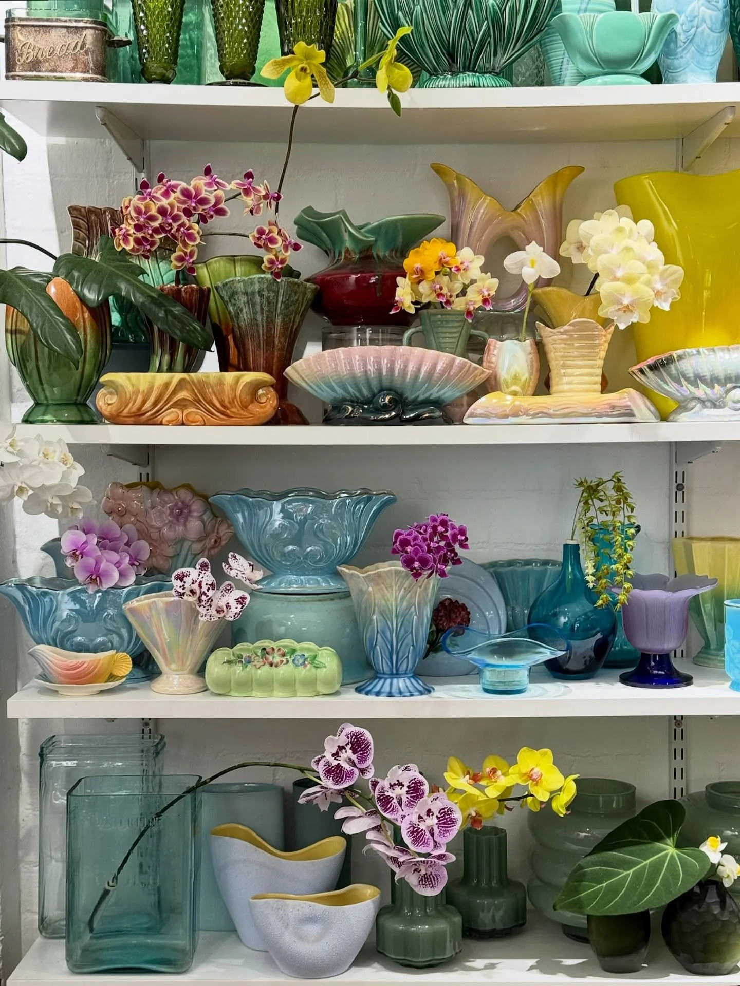 &hellip;.&bull;&bull;&bull;&bull;.&bull;&bull;👀