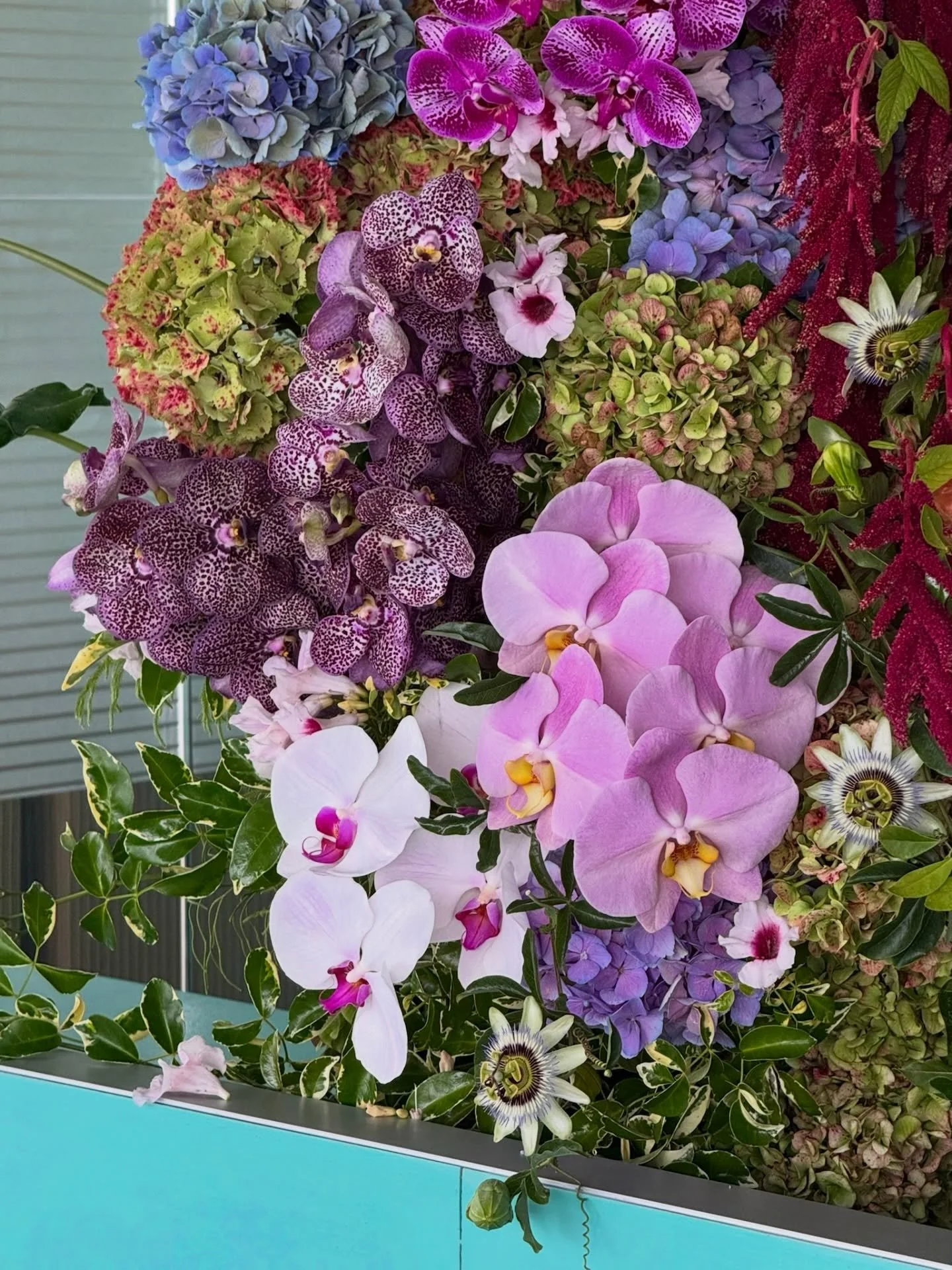 Lisa 🎉
@icebergsdiningroomandbar