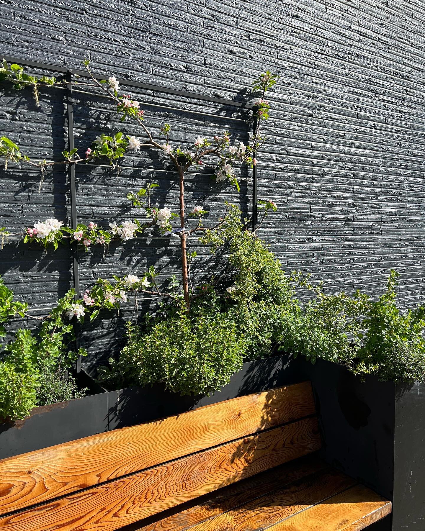 It&rsquo;s spring and our garden boxes are full of new life: apple blossoms, gooseberry blossoms and lots of lush herbs! It&rsquo;s a perfect spot to sit and enjoy a cup of coffee and a little bit of ☀️. (Check out our stories for a little tour!)