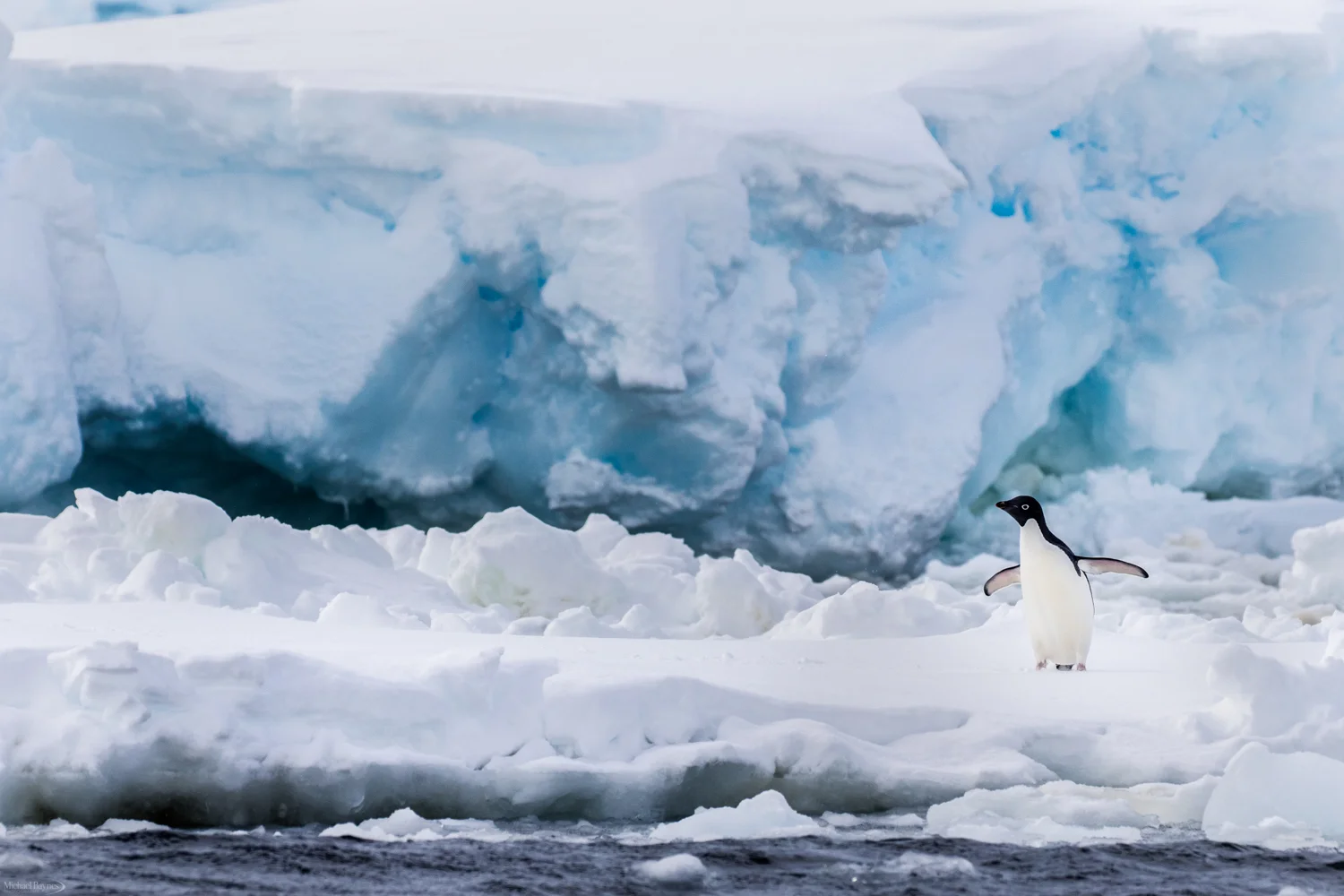 Website_Polar Regions_Low Res (17 of 22).jpg