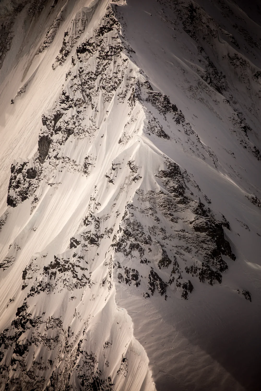 Website_Polar Regions_Low Res (18 of 22).jpg