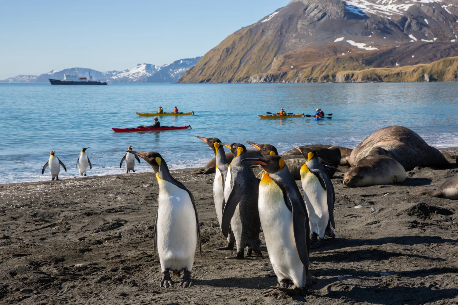 Website_Polar Regions_Low Res (2 of 3).jpg