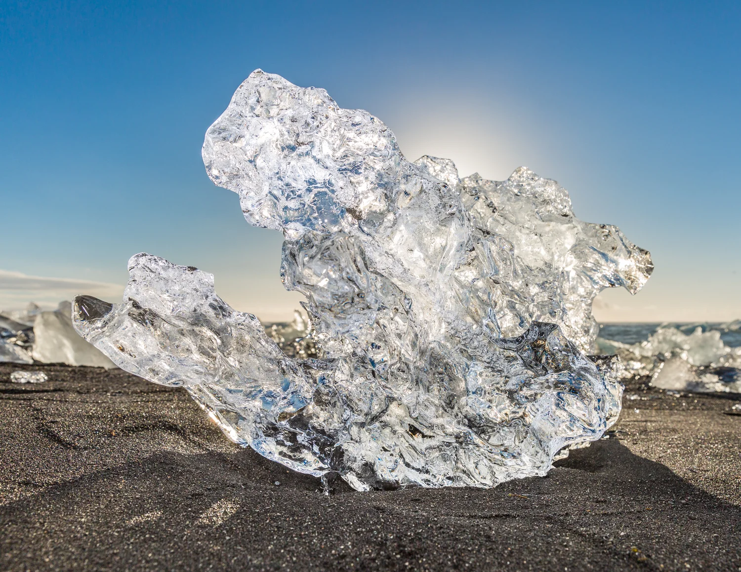Arctic Webpage Image_Low Res (2 of 8).jpg