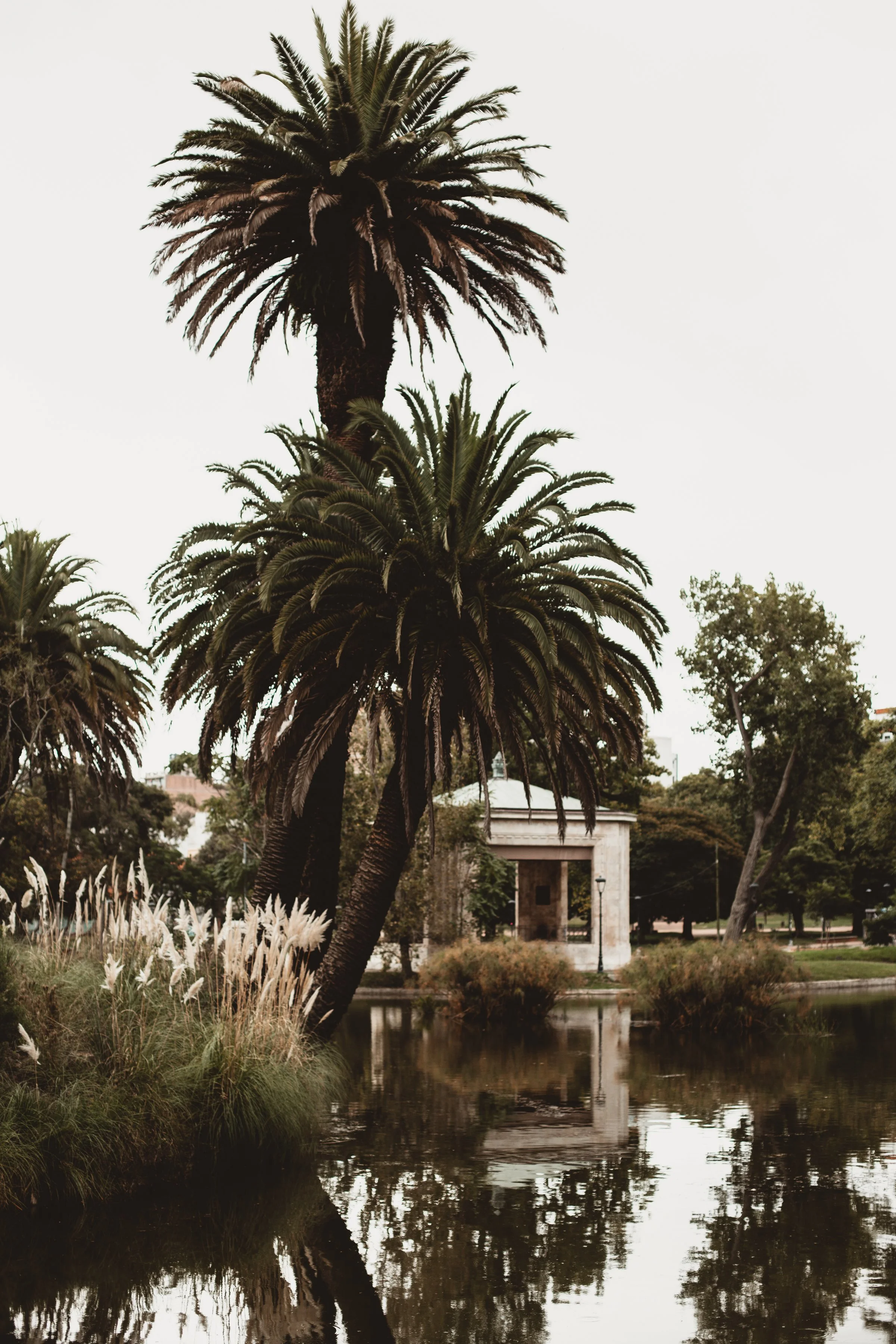 ADVENTURES IN MONTEVIDEO | PART ONE