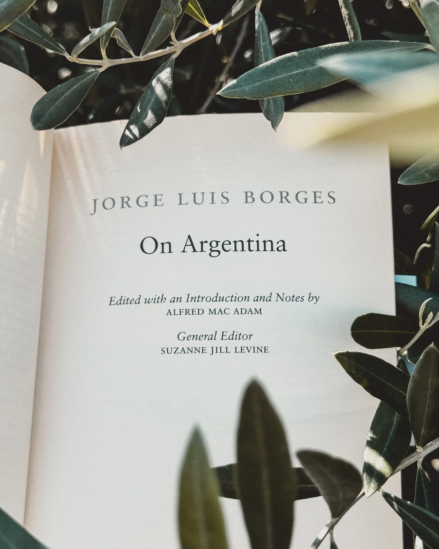 Buenos Aires

Morning is an overwhelming blue, a swift and massive surprise spanning the sky, a crystallizing, a lavish outpouring of sunlight that piles up in squares, smashes mirrors with fictitious stones, and lowers long insinuations of light dow
