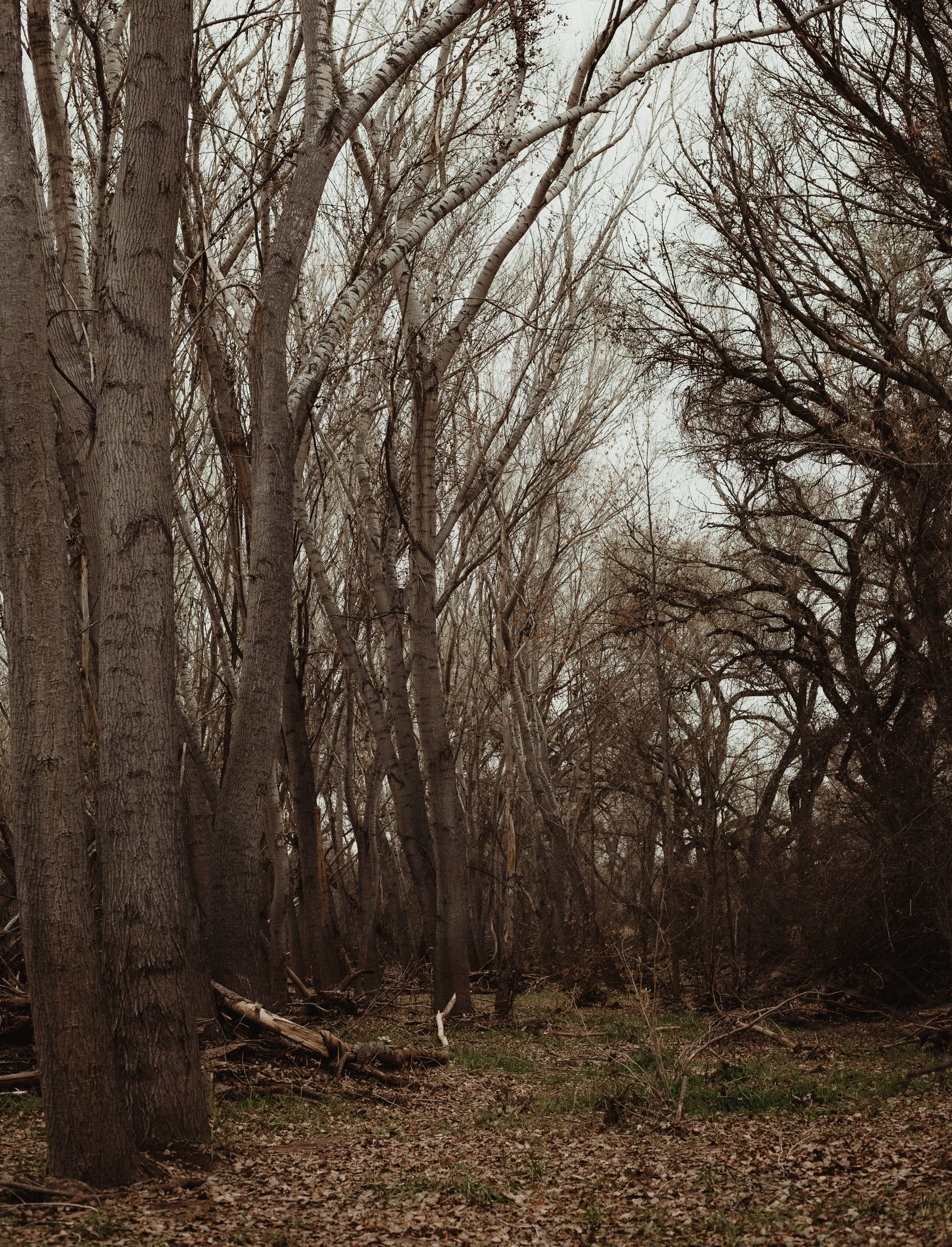 AUGUST 2025 READING LIST