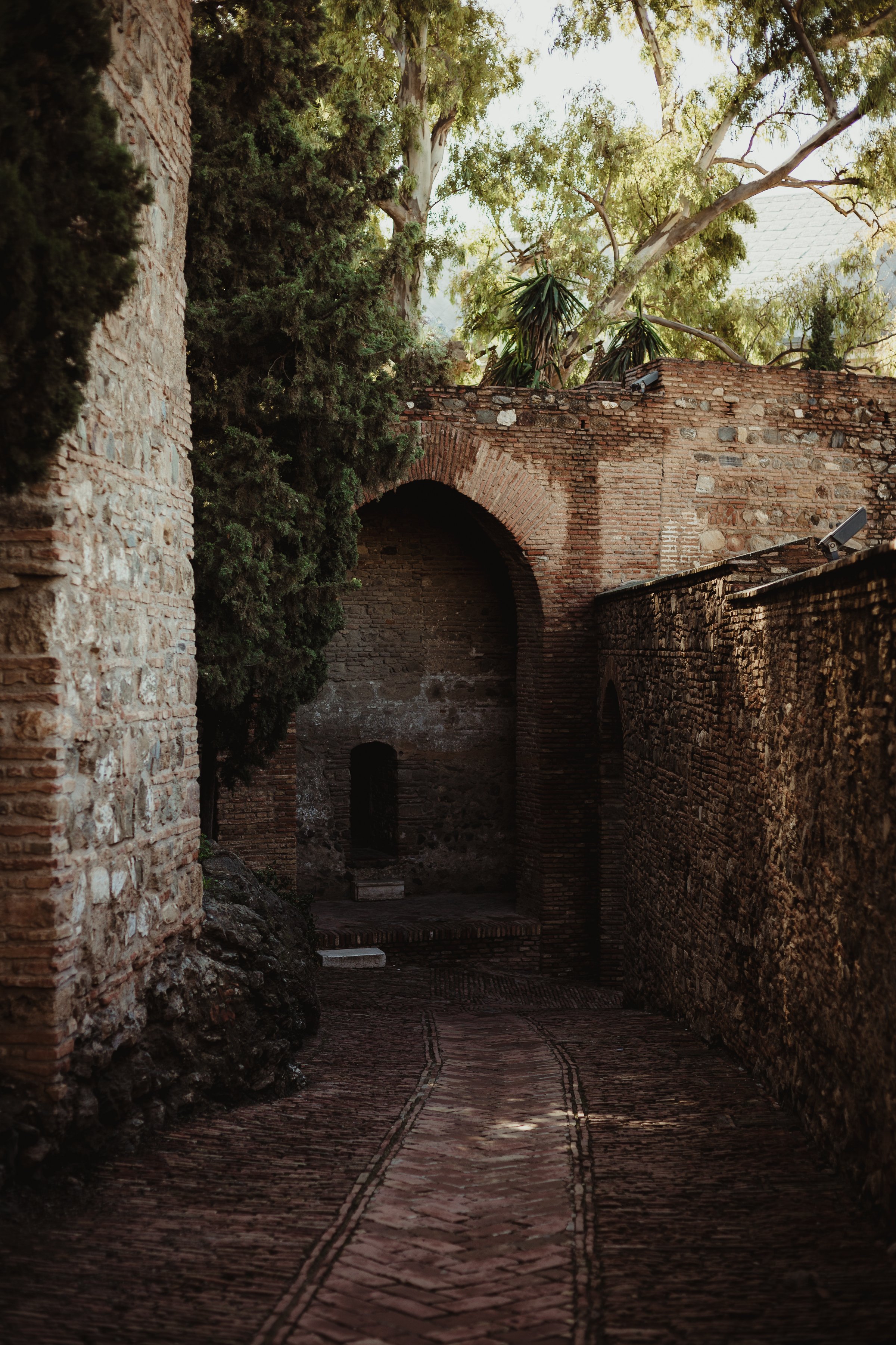 JULY 2025 READING LIST