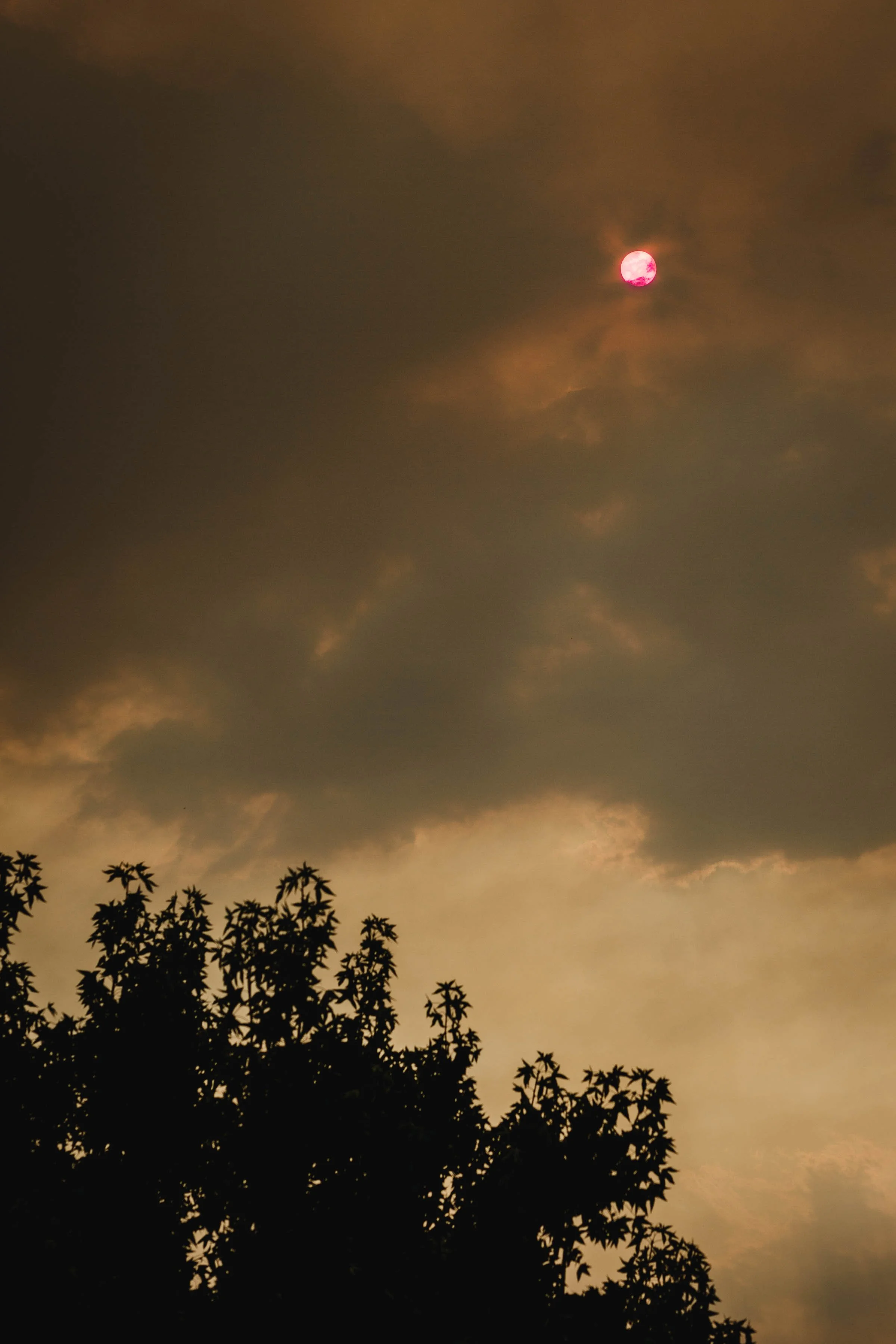 HUMANITY'S DESTRUCTIVE NATURE