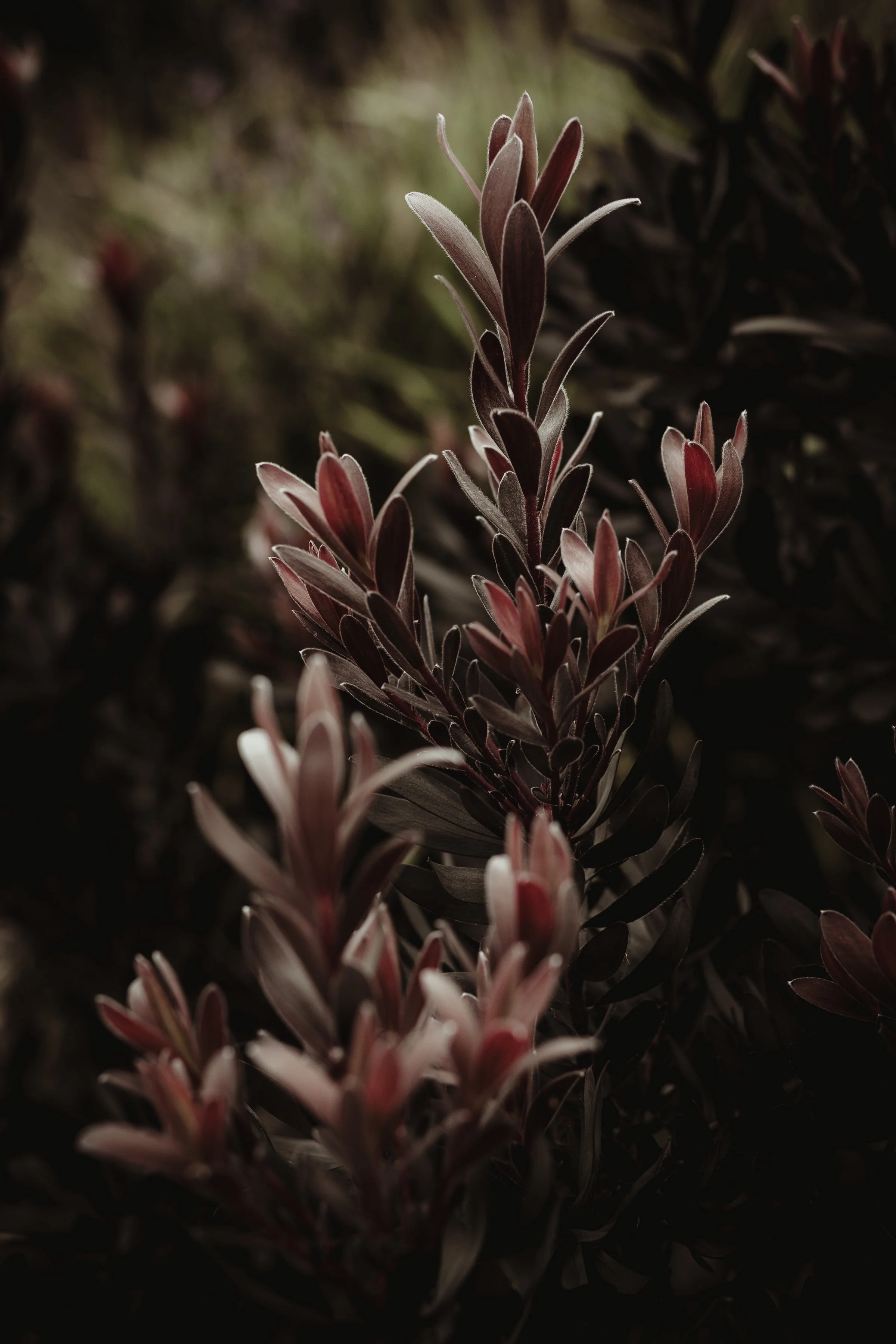 SEPTEMBER 2025 READING LIST