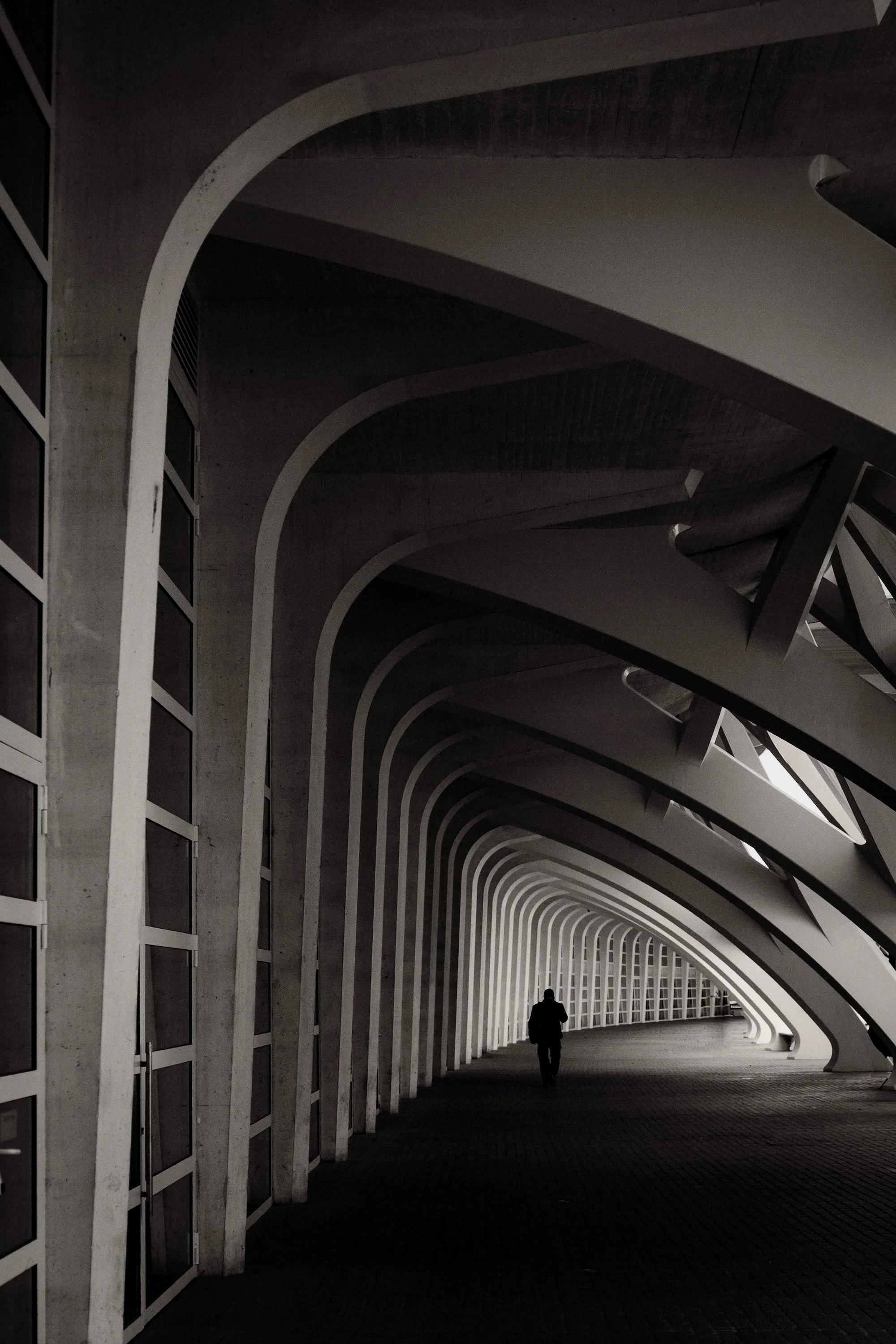 NECESSARY SOLITUDE | WILLA CATHER