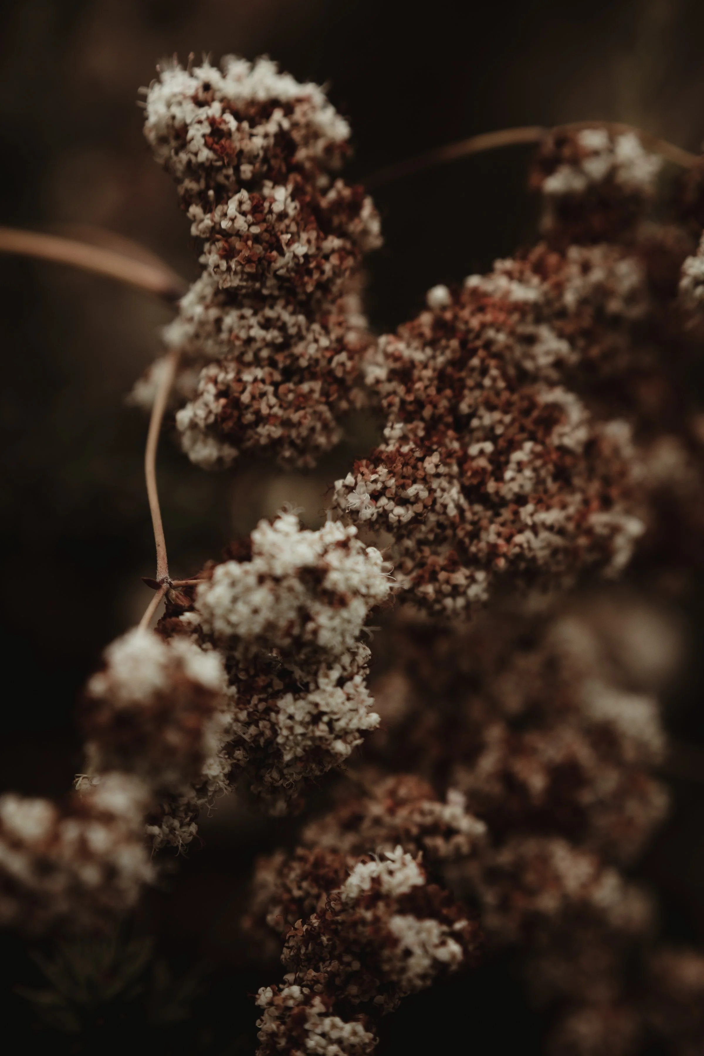 WORRY AND HAPPENSTANCE