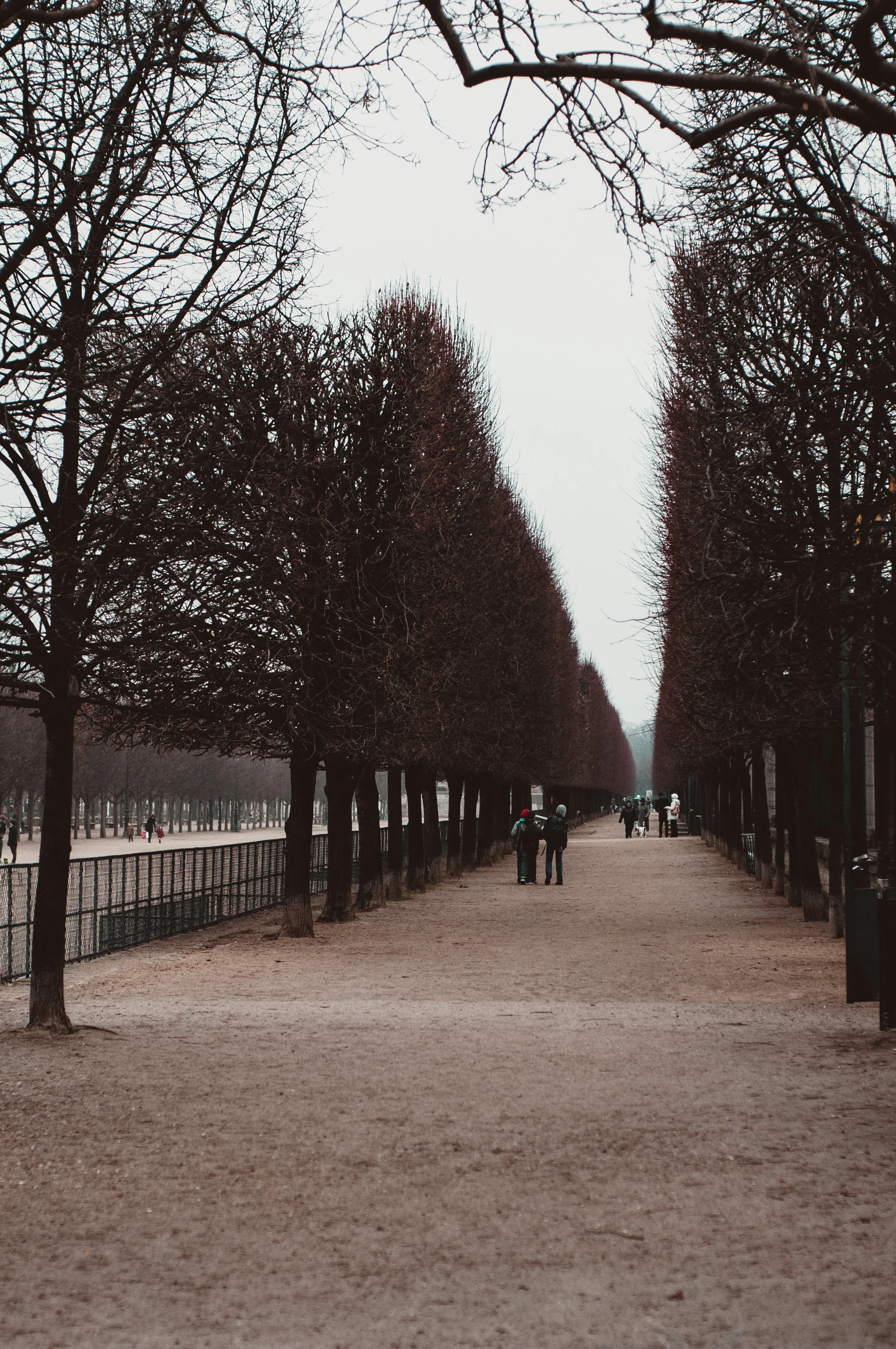 THE WORLD MAY BE BETTER