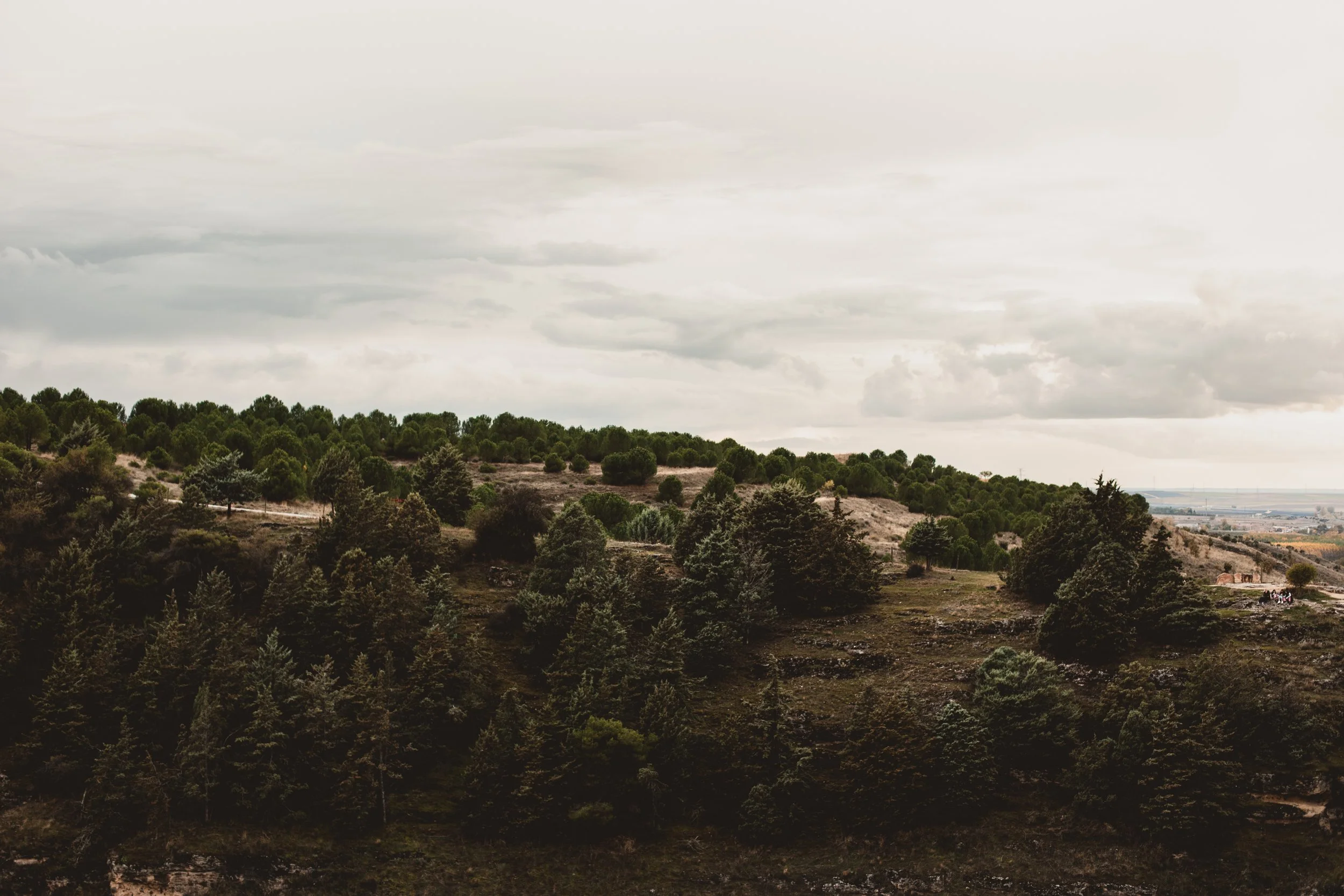 NOVEMBER 2024 READING LIST