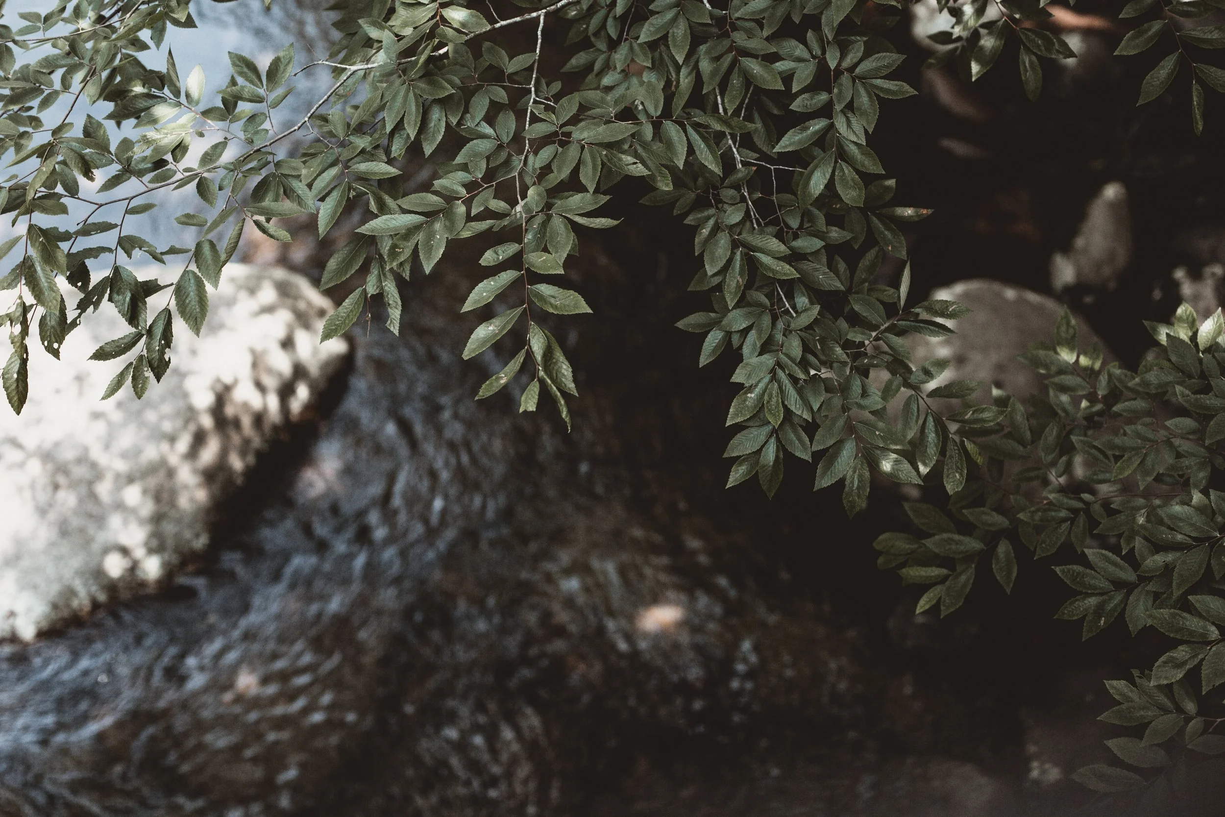 MAY 2025 READING LIST