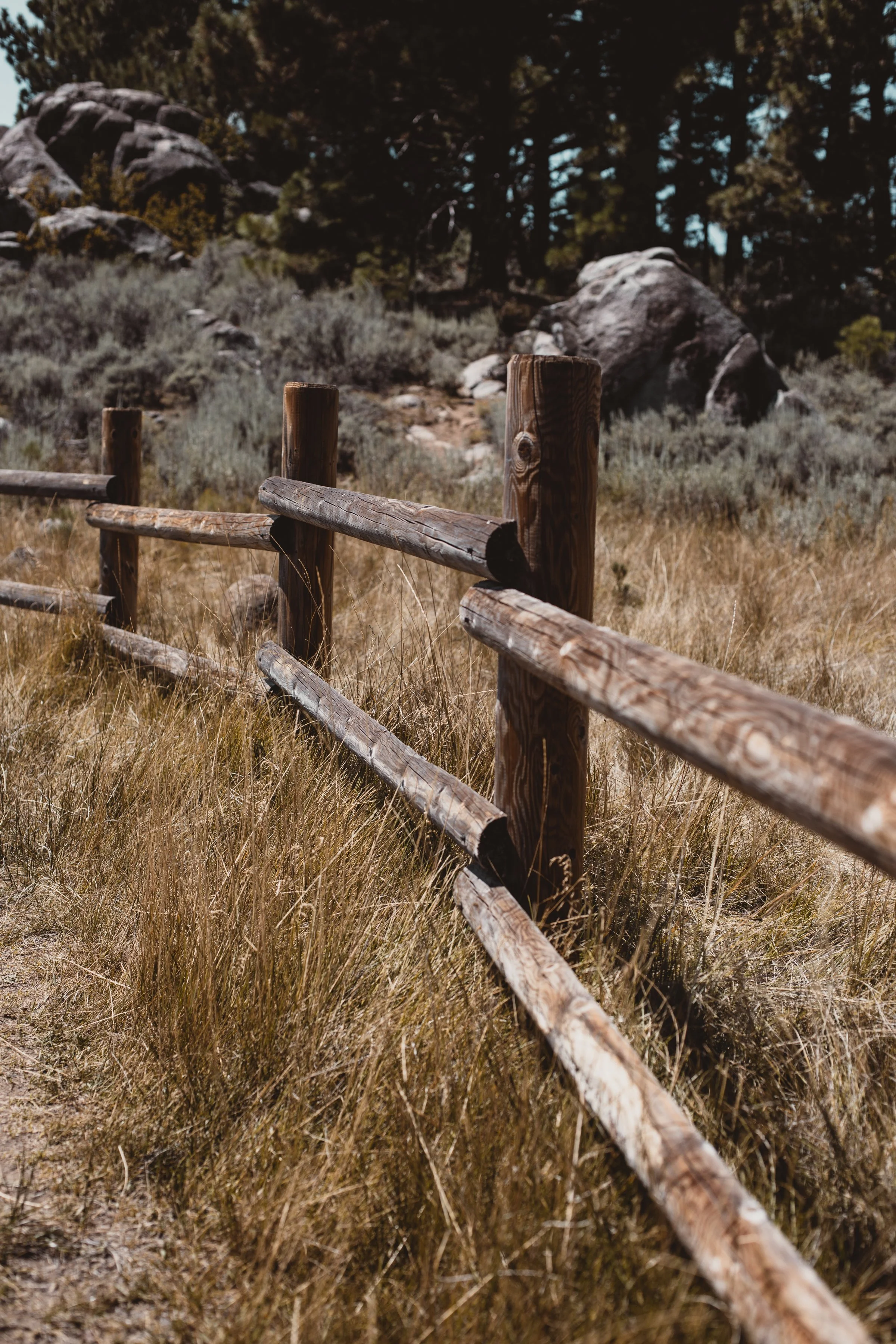 JANUARY 2025 READING LIST