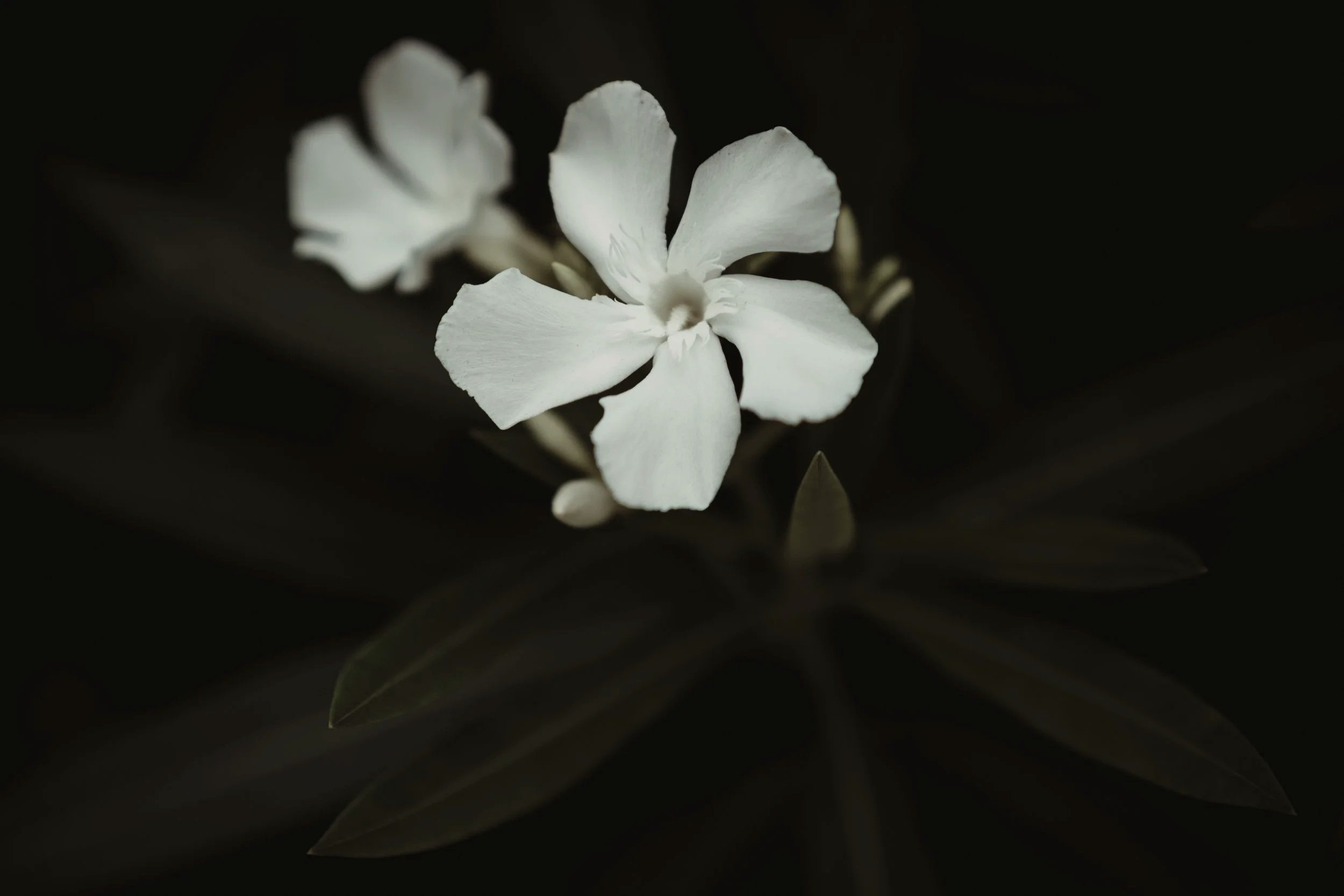 FEBRUARY 2025 READING LIST