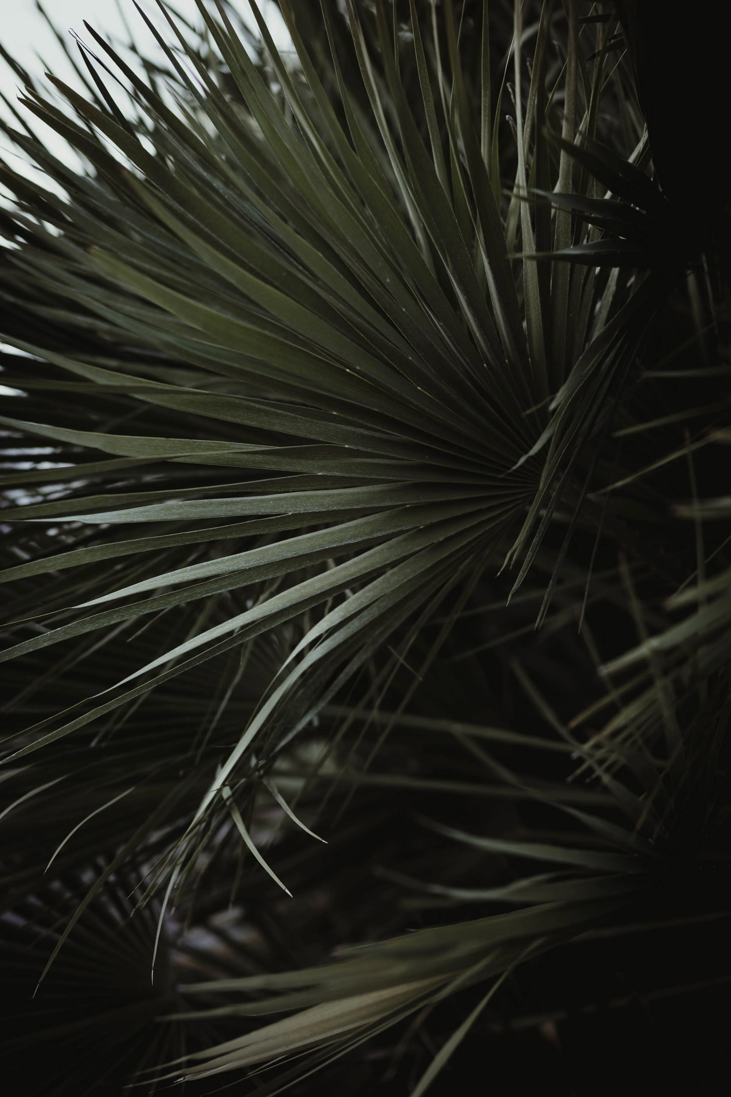 JANUARY 2023 READING LIST